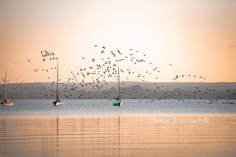 Wohnmobilstellplatz: Exklusive Stellplätze nahe Ammersee&Ritterschloss mit Sonnenuntergang