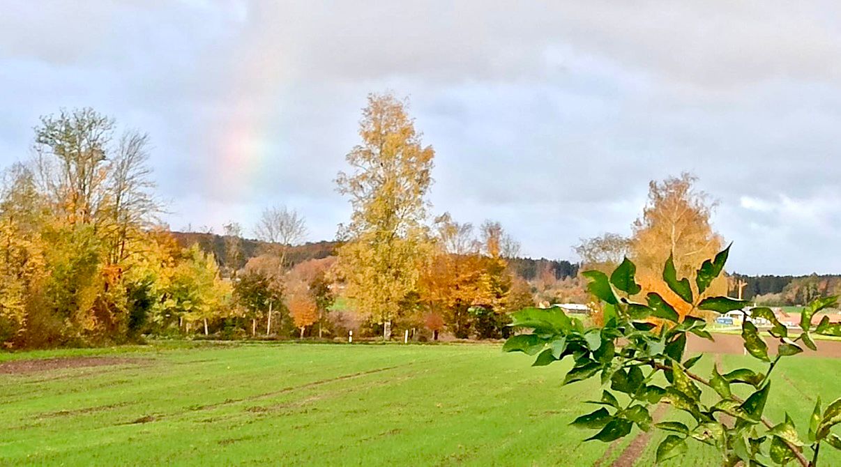 Reisemobilstellplatz - Mering - Exklusive Stellplätze nahe Ammersee&Ritterschloss mit Sonnenuntergang