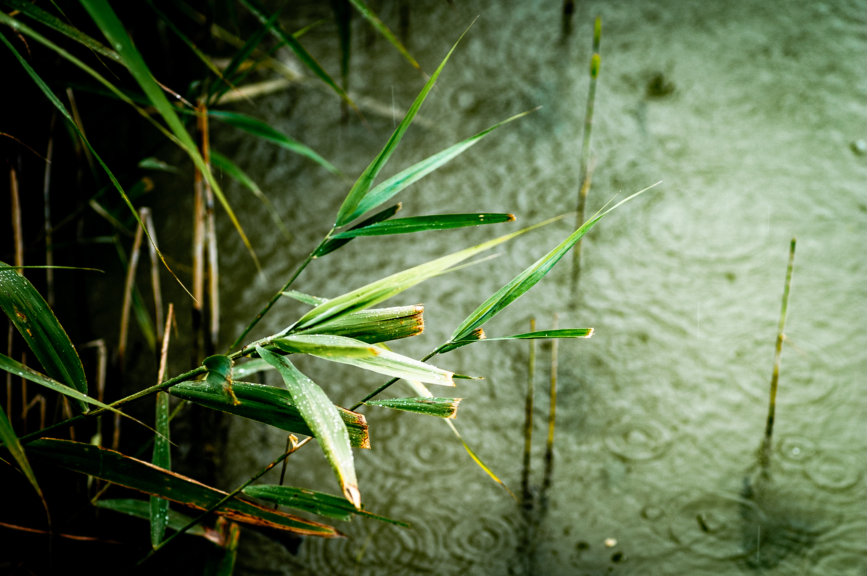 Wohnmobilstellplatz: Exklusive Stellplätze nahe Ammersee&Ritterschloss mit Sonnenuntergang