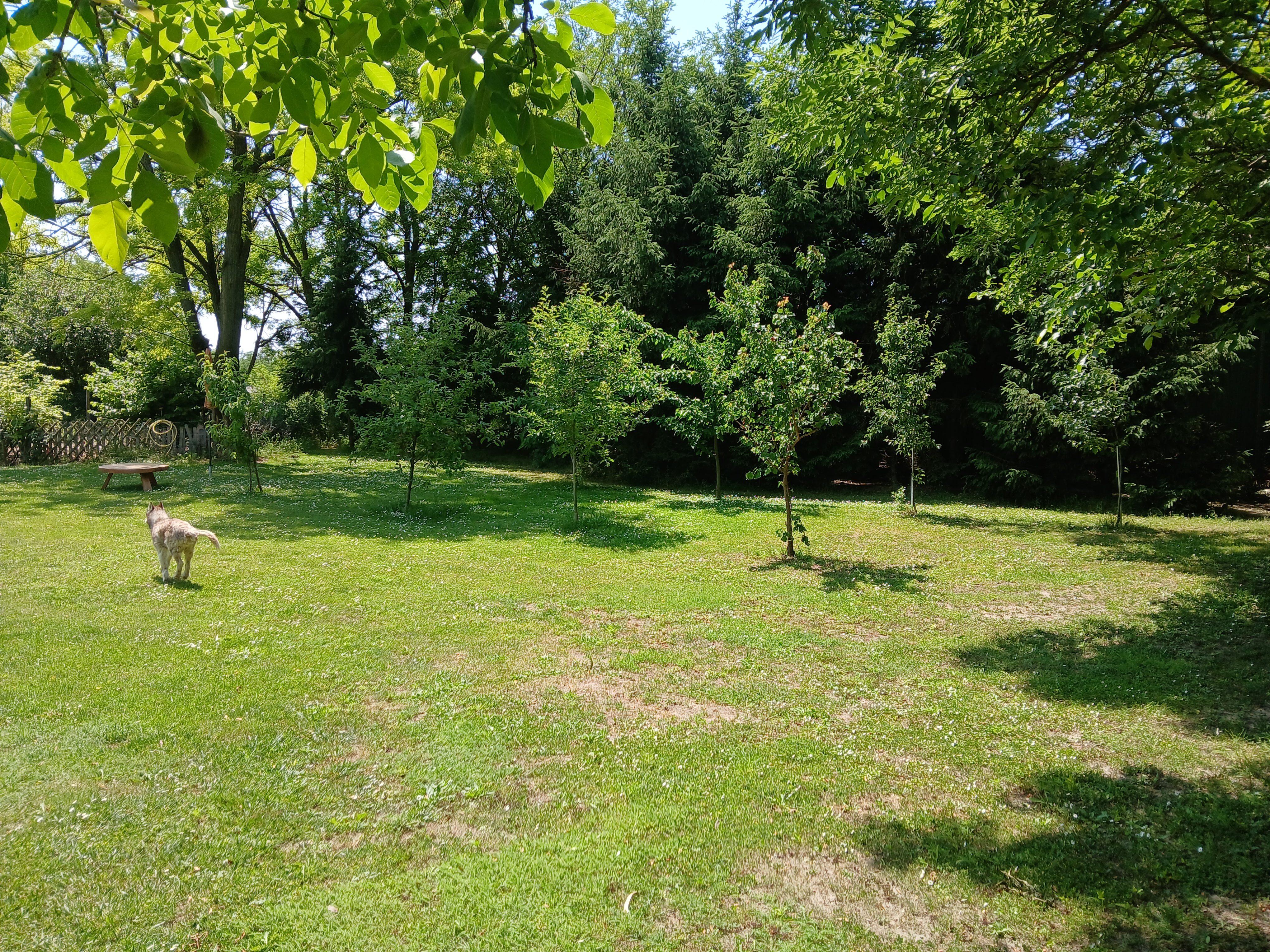 kampeerplaats voor campers - Hongarije - Camper Parking Wohnmobil Platz Garden of Eden Kajarpec Stellplatz Ungarn