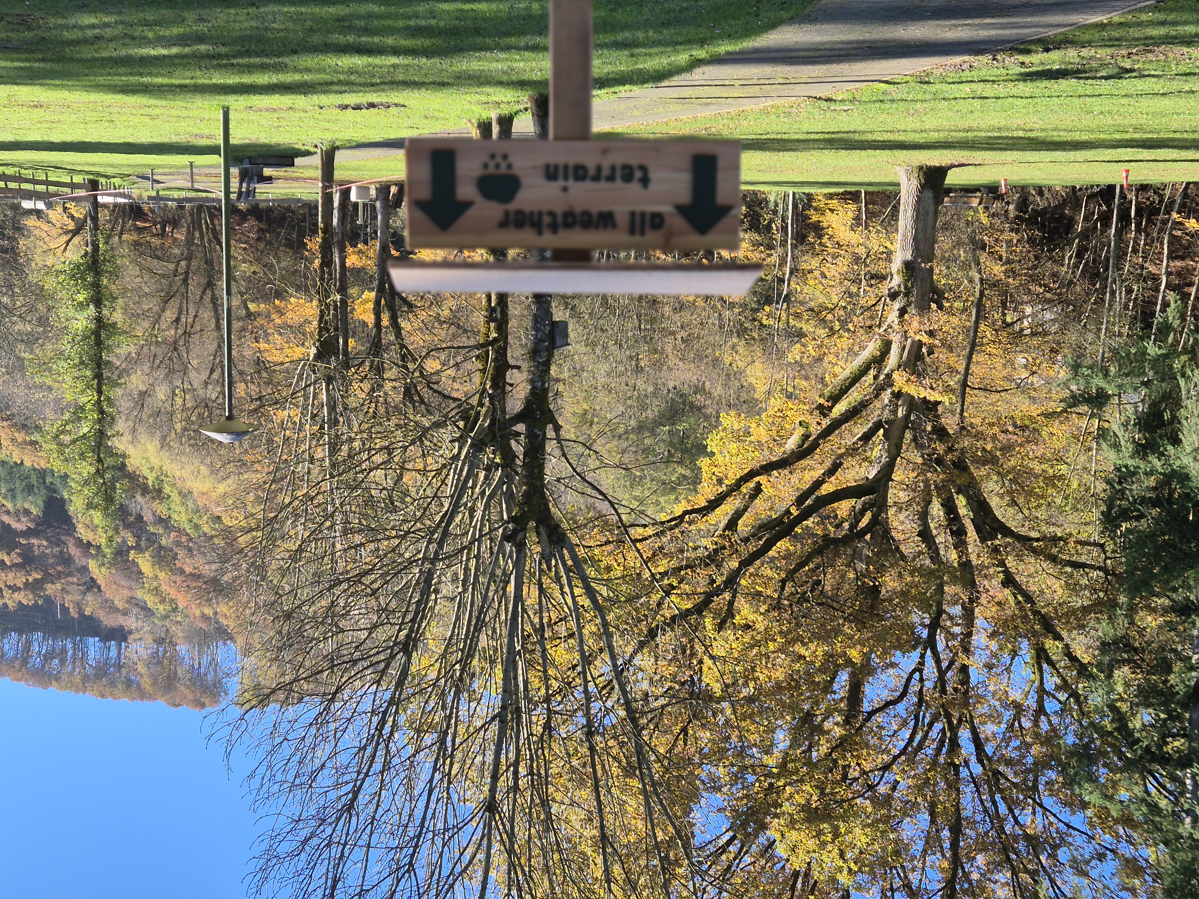 Reisemobilstellplatz - Wohnwagen erlaubt - Steffeln - Stellplatz Hiller
