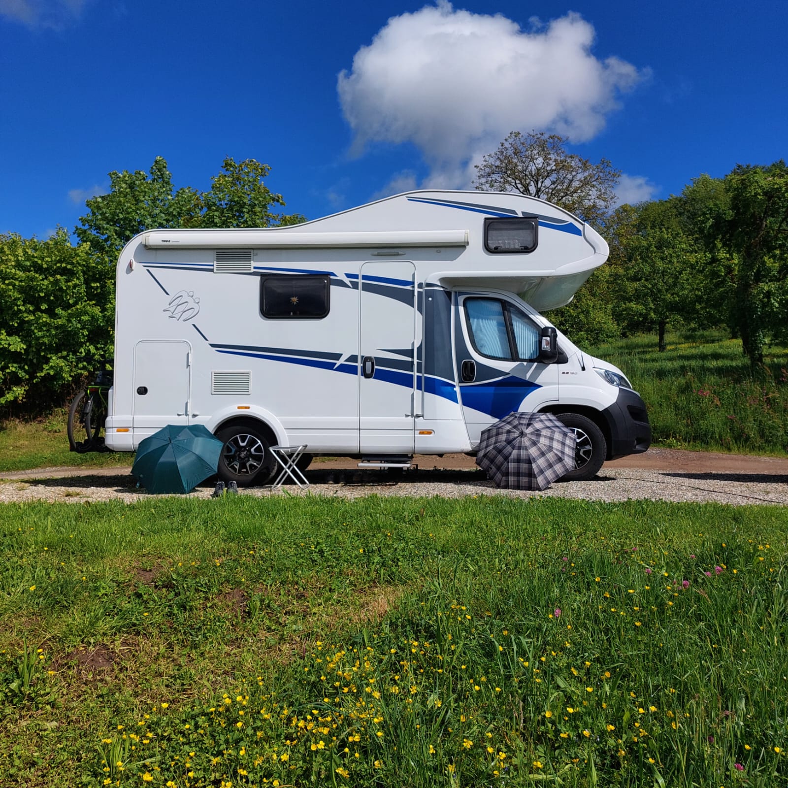 kampeerplaats voor campers - Ettenheim - Natur Camping Hölzleberg mit Aussicht und Pool
