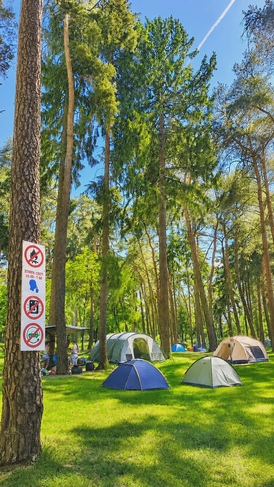 Wohnmobilstellplatz: Tent area - Camp LIPNO! - Stęszew 