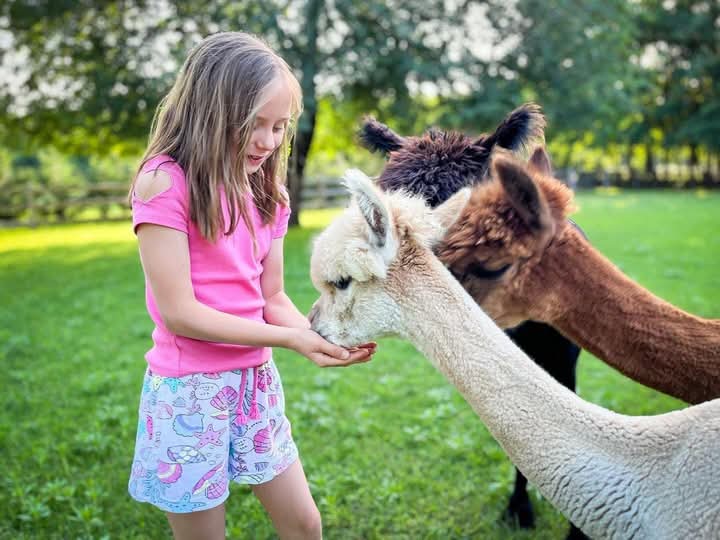 Area sosta per camper - Rain (Rain) - Jorgen Maijer
