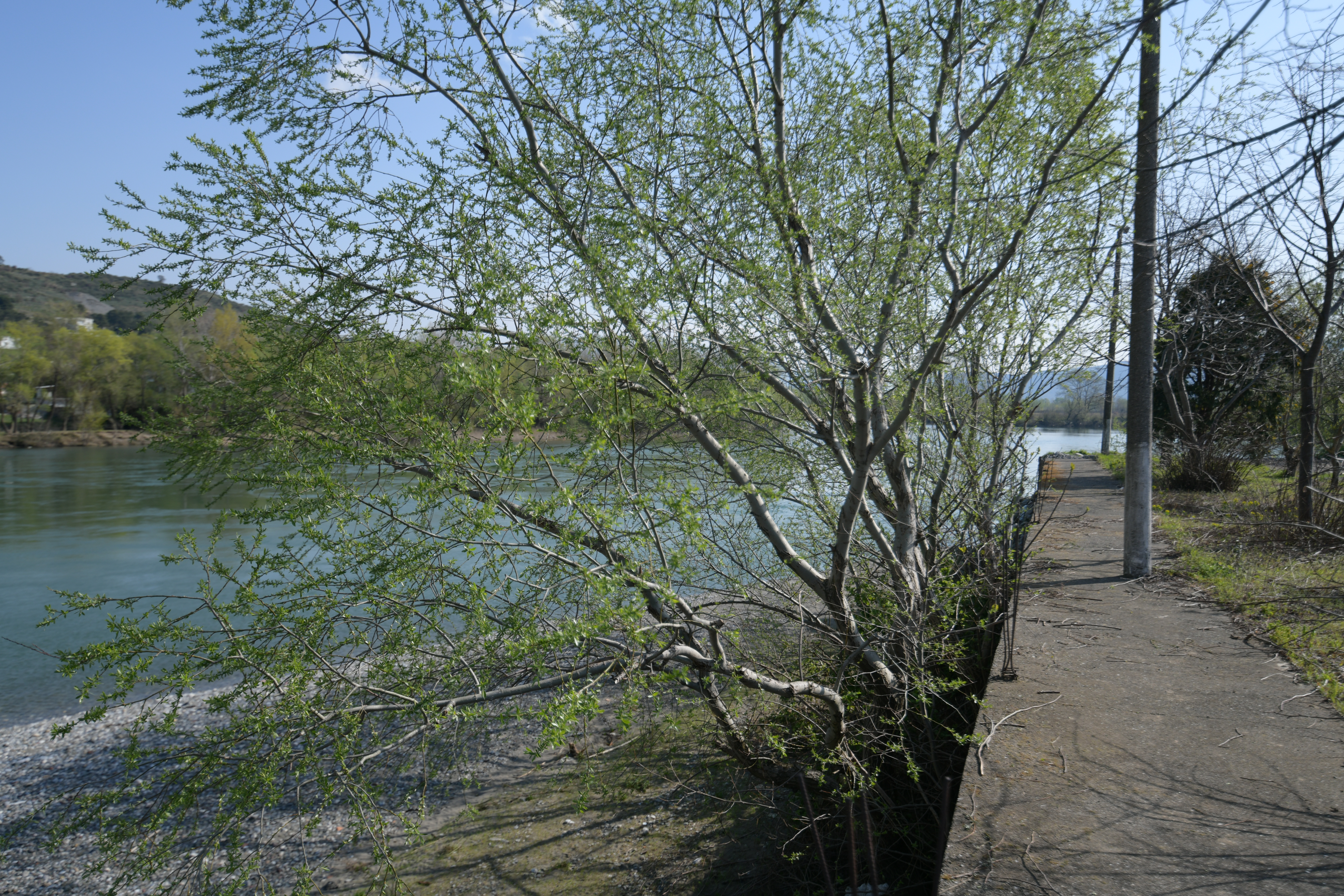 Reisemobilstellplatz: Shkodra Castle Camping