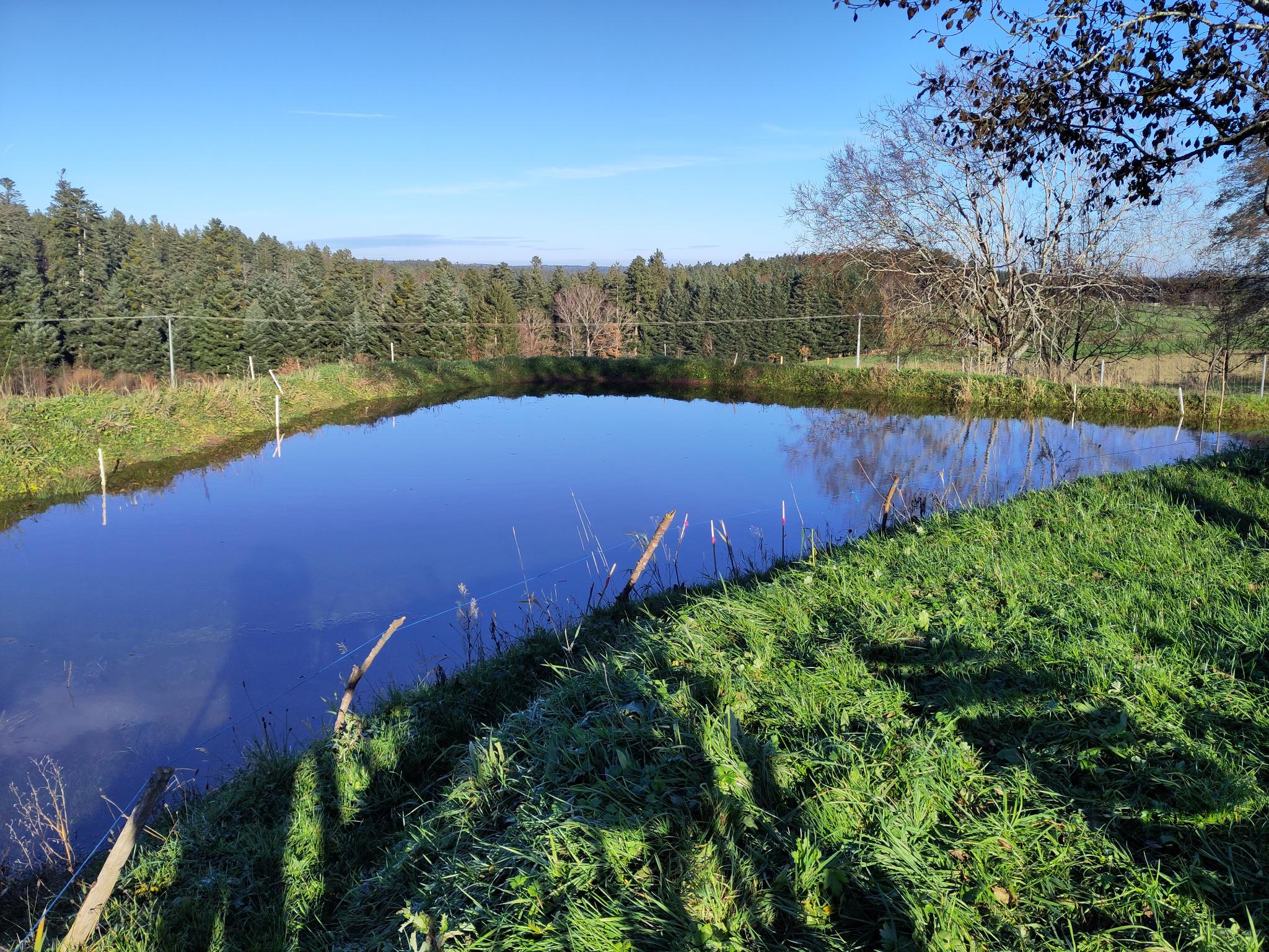 Area sosta per camper - Gernsbach - Biotop - Hof Sonnenwald Schernbach/Nordschwarzwald