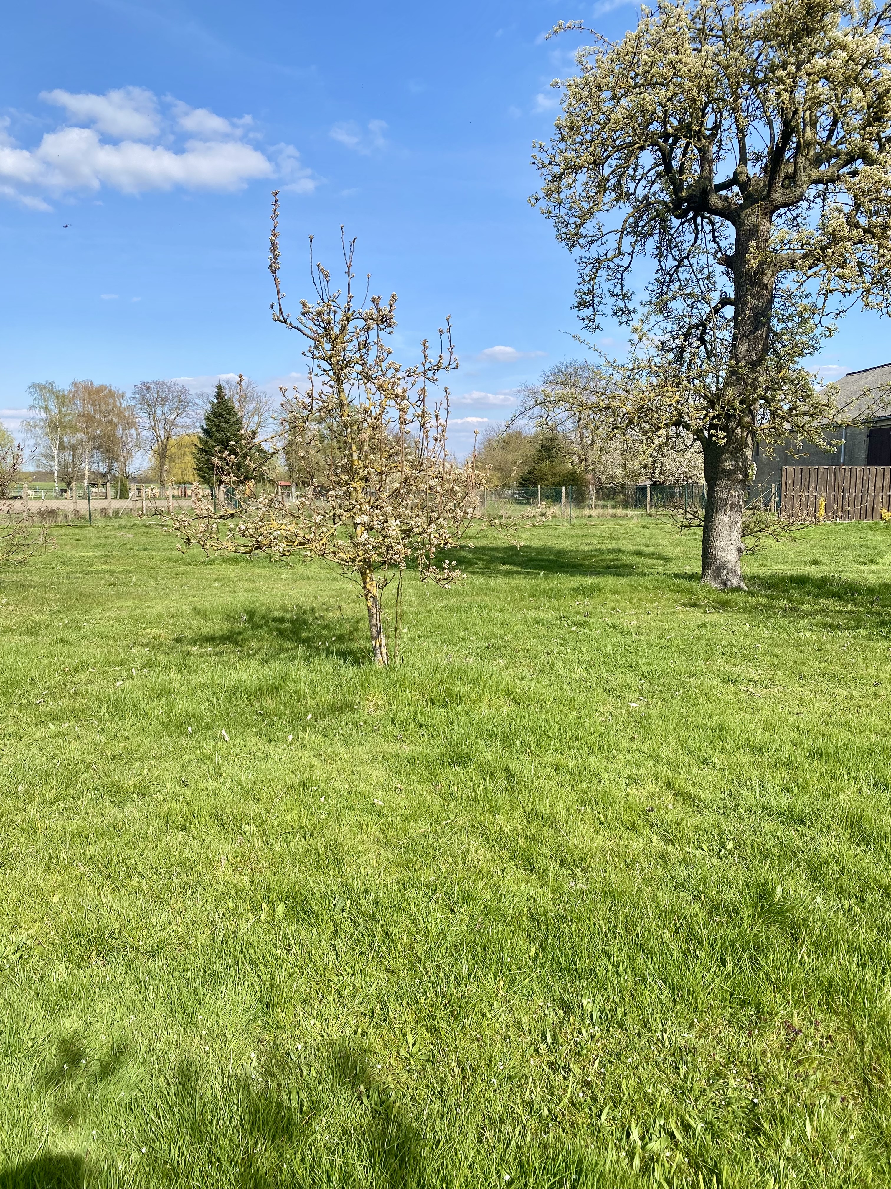 Reisemobilstellplatz - Stendal - Stellfläche ca. 2500 qm auf grüner Wiese - Schwalbennest 