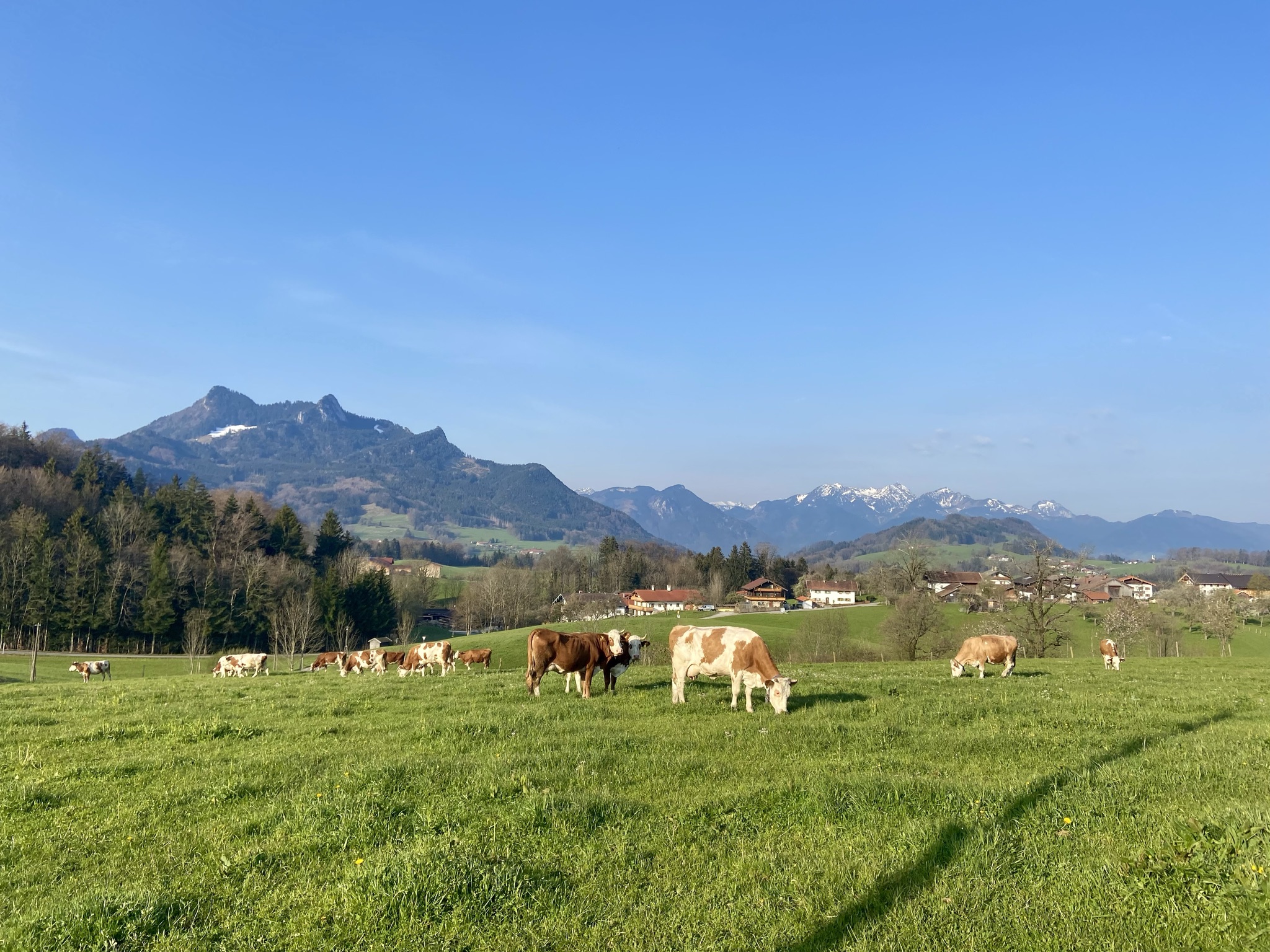 Wohnmobilstellplatz: Ausblick vom Hof  - Weyererhof Fam. Daxlberger 
