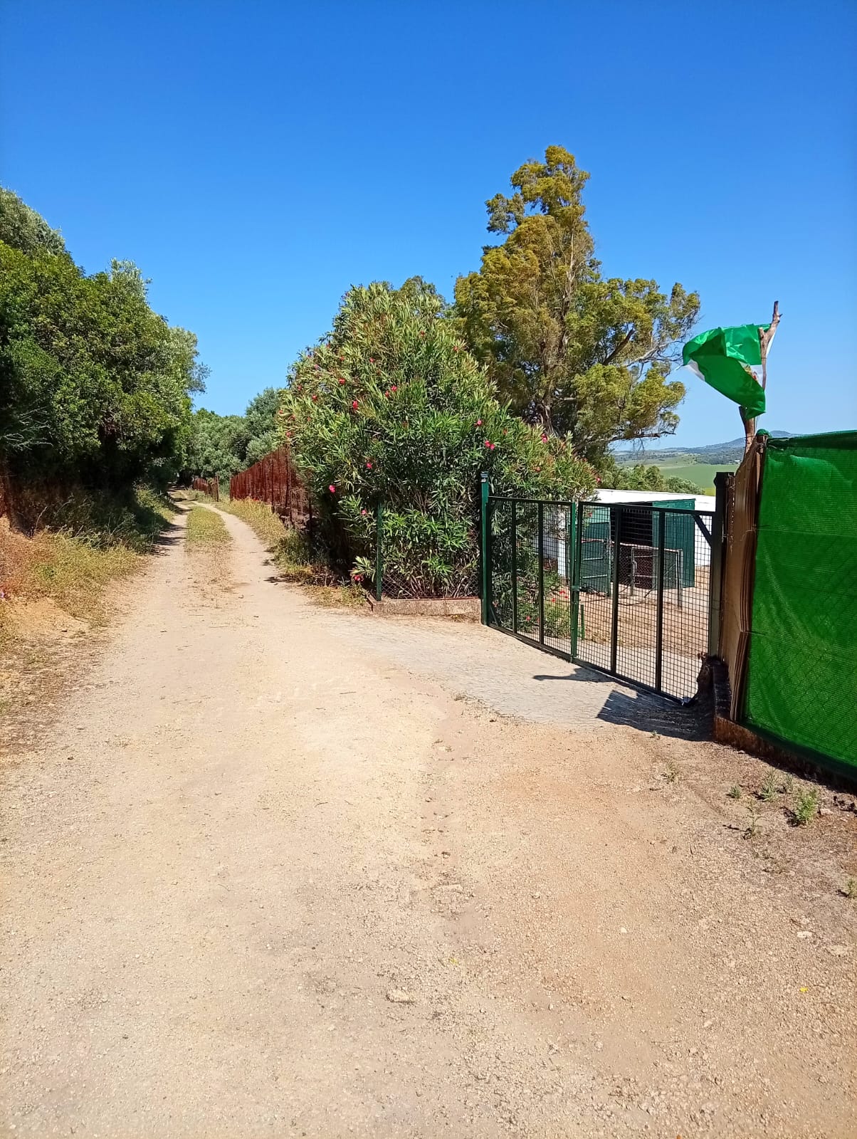 Wohnmobilstellplatz: Gassirunde direkt vor der Tür - Rancho " La Muleta"