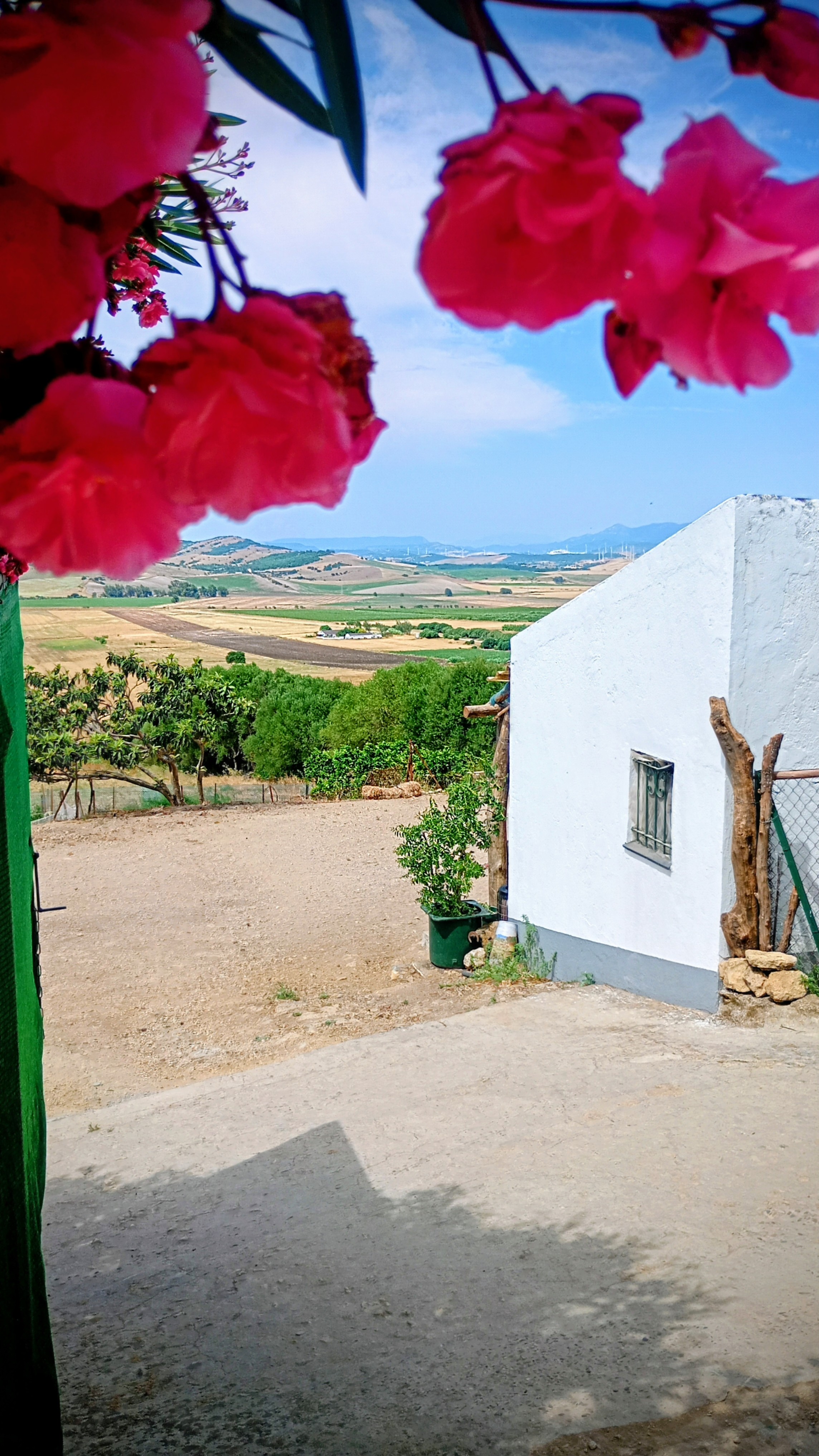 Wohnmobilstellplatz: Wunderschöne Aussicht zum Chillen - Stellplatz auf rustikaler Ranch in Andalusien