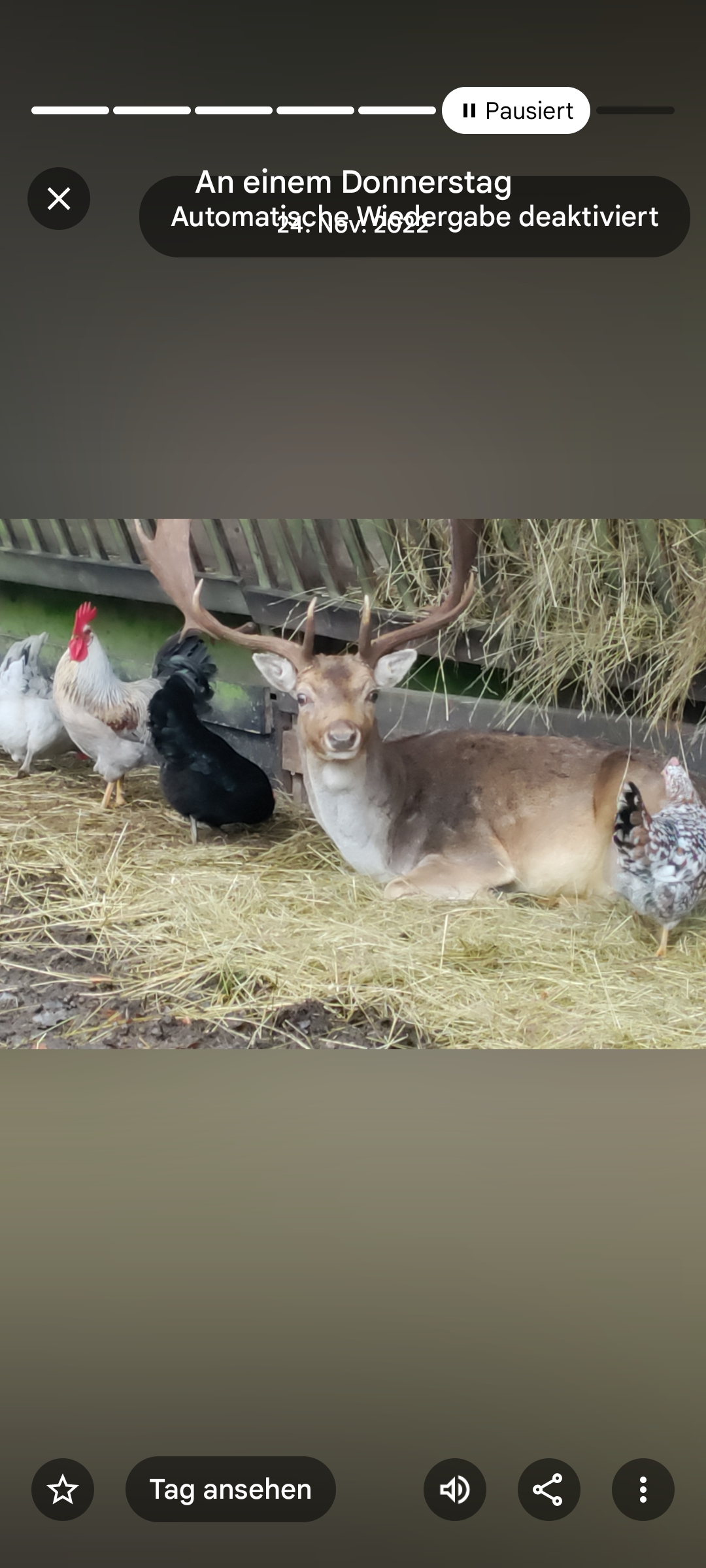 Wohnmobilstellplatz: Rollerbü Wildpark 