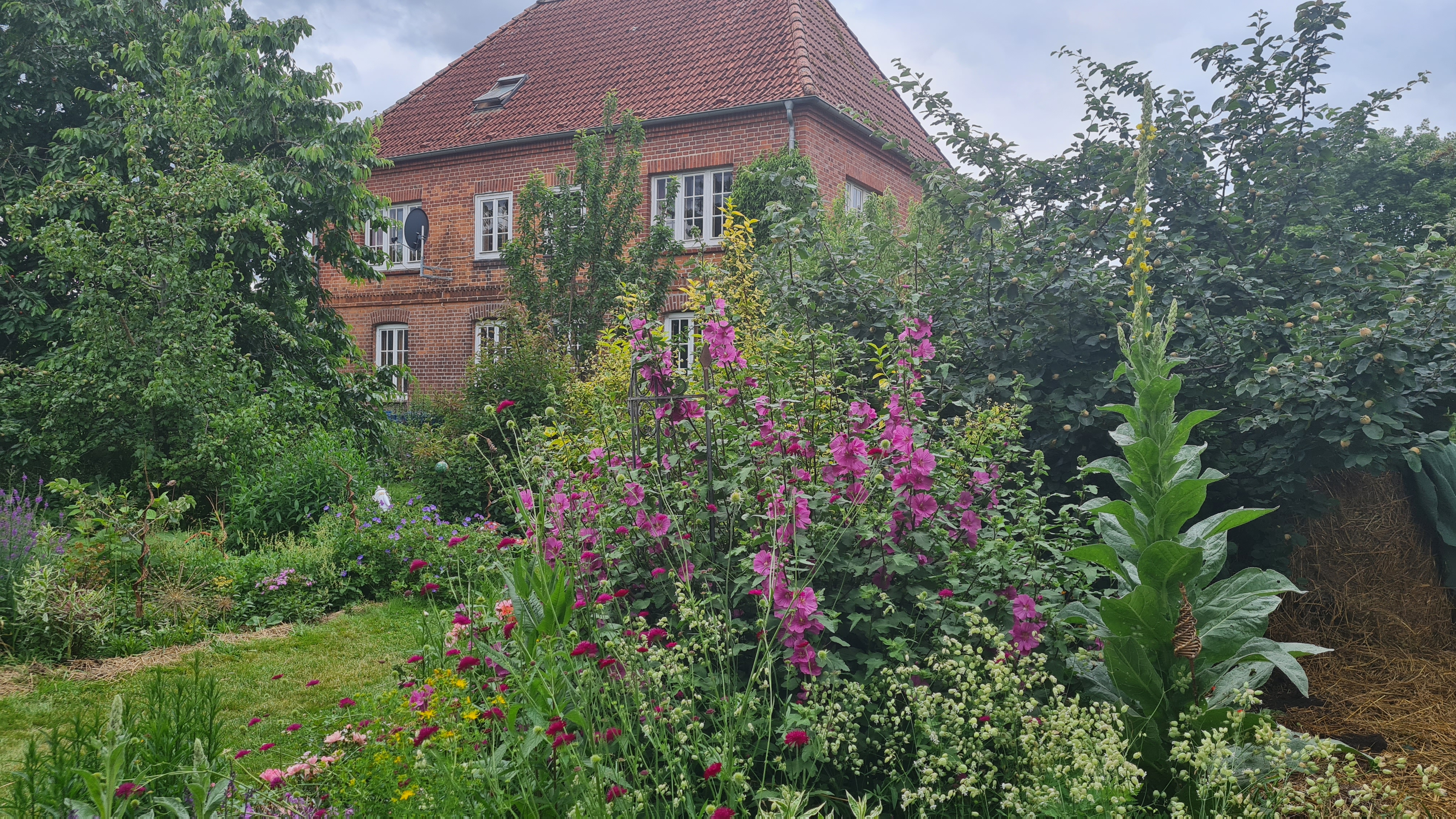 Wohnmobilstellplatz: Stellplatz im Paradiesgarten