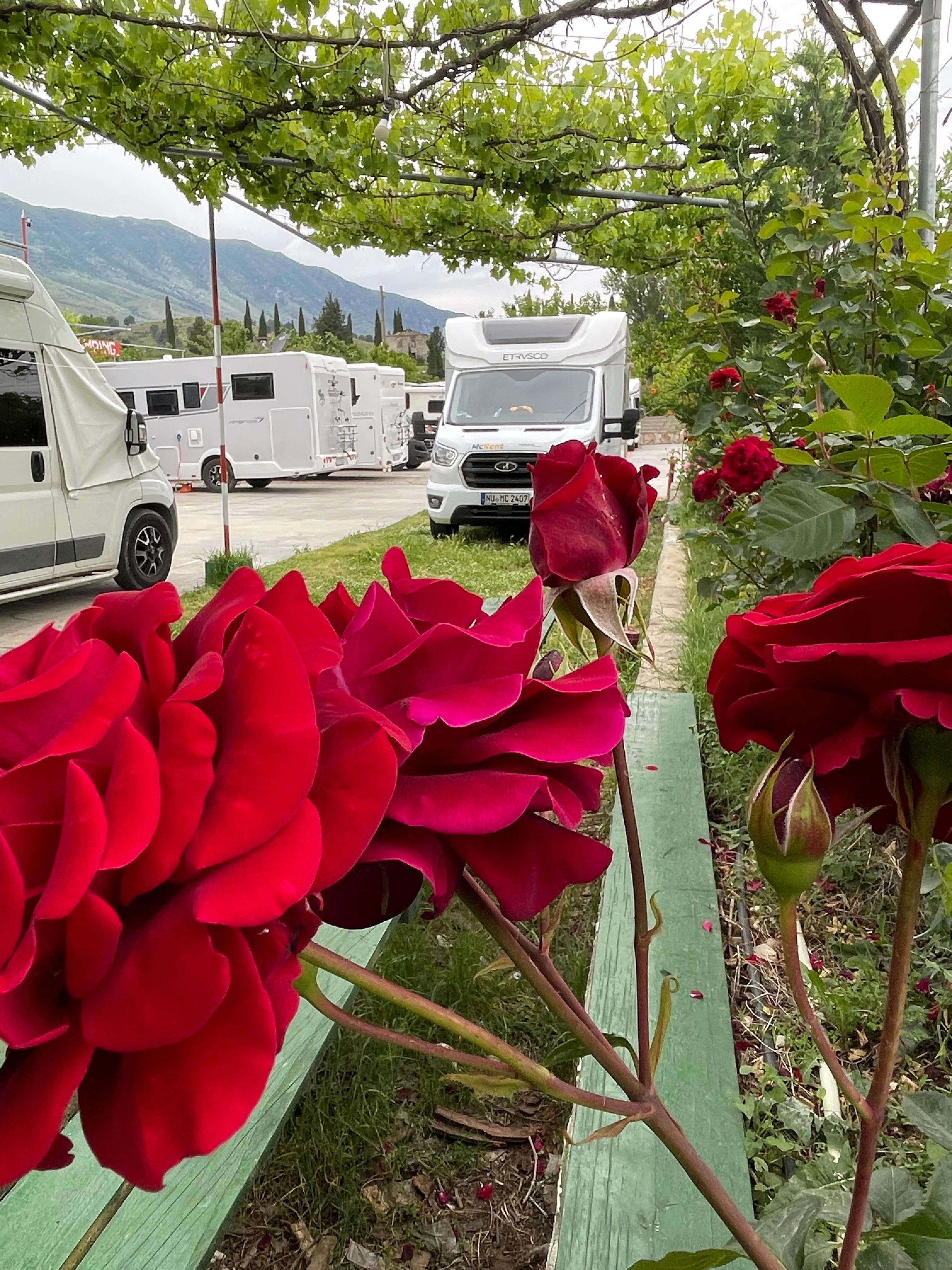 RV park - Epirus-Region - Green camping Gjirokaster 