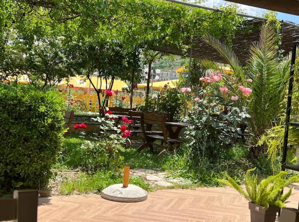 Wohnmobilstellplatz: Green camping Gjirokaster 