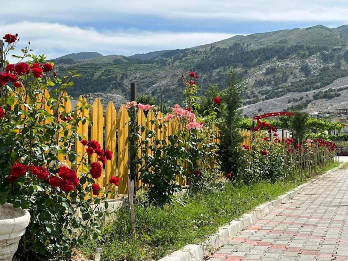 Wohnmobilstellplatz: Green camping Gjirokaster 