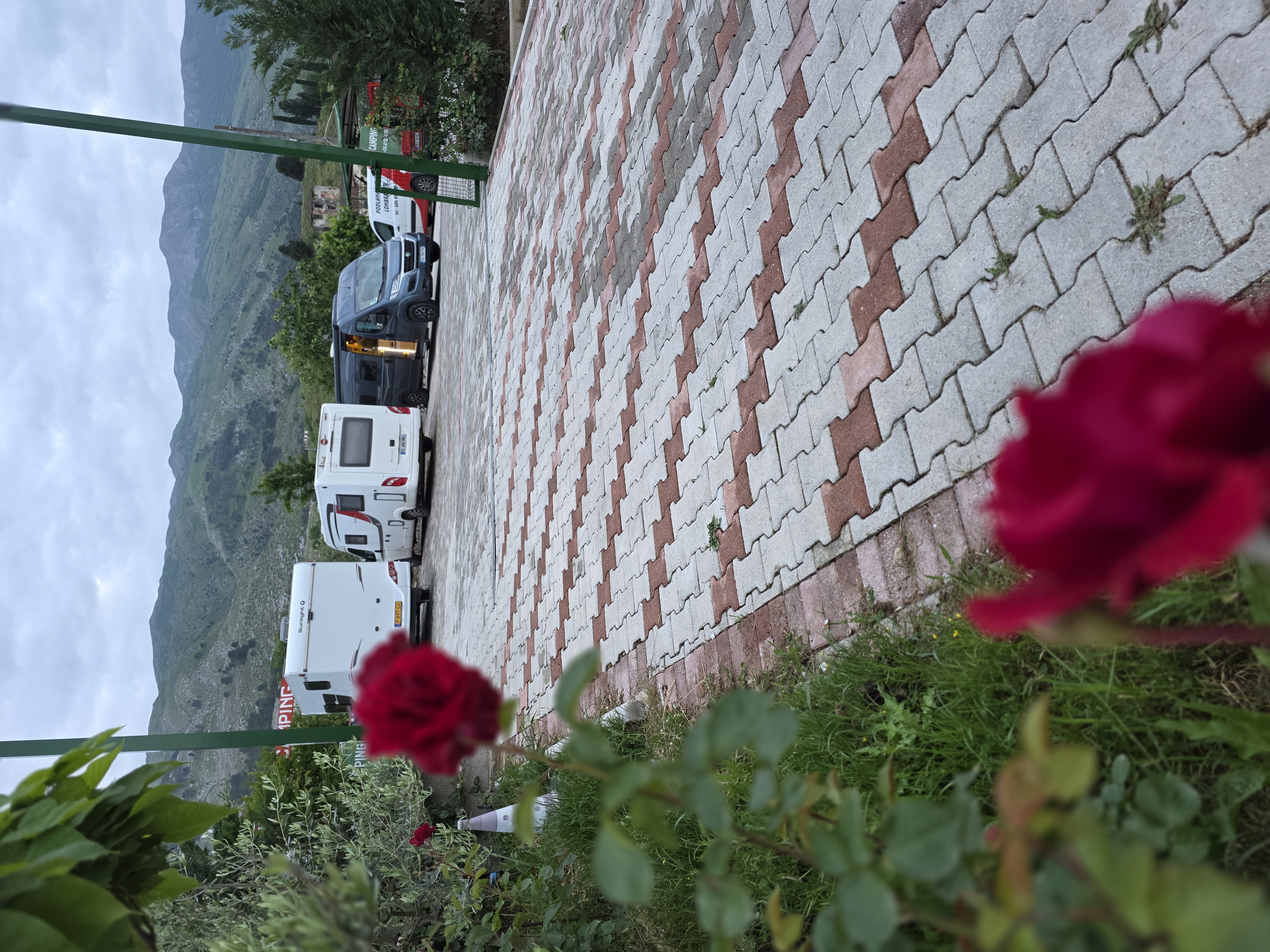 Wohnmobilstellplatz: Enjoy your stay at green camping with beautiful garden flowers - Green camping Gjirokaster 