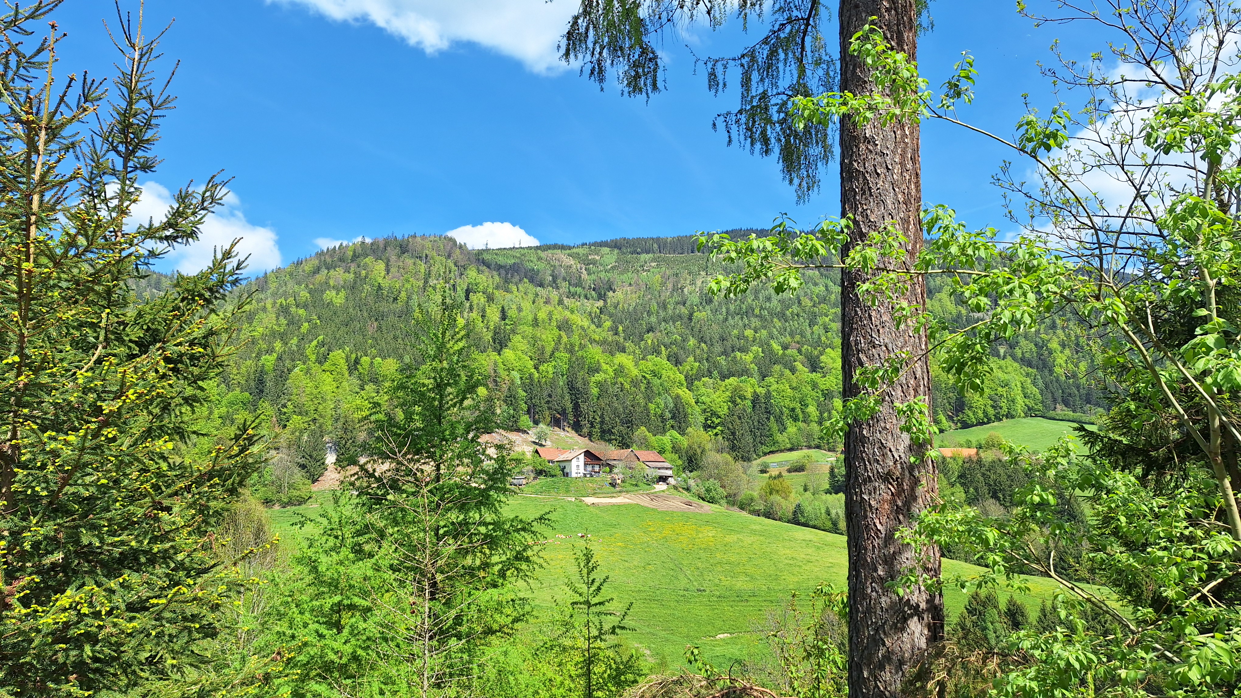 Place de parking pour camping-car - Bruck an der Mur - Unser Hof - GENUSSHofer