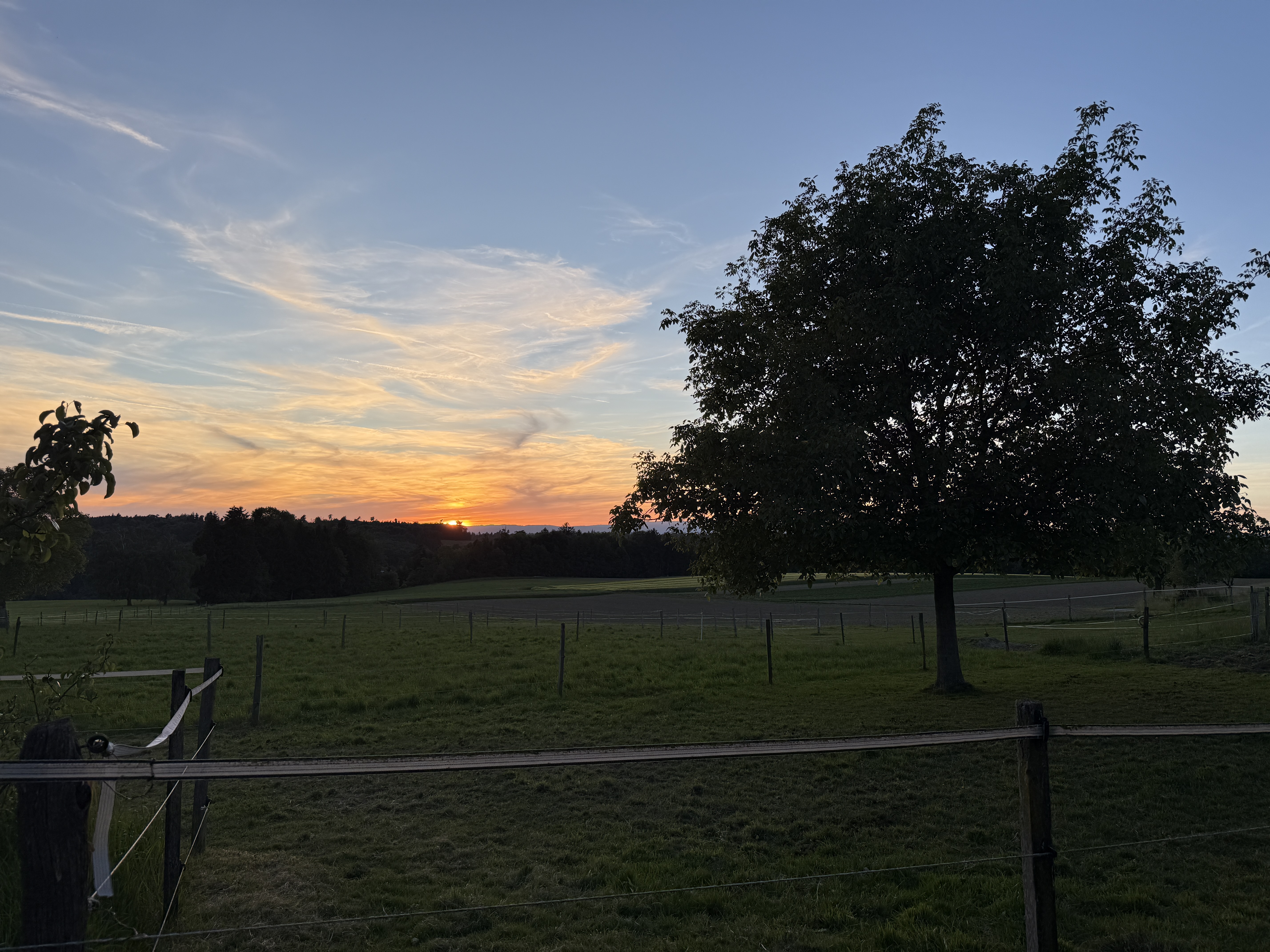 Reisemobilstellplatz - Thun - Abend-Aussicht vom Stellplatz aus - Stellplatz neben der Pferde-Oase Liebewil