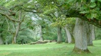 Wohnmobilstellplatz: Levene äng 📍 GPS: 58.3310, 13.1105
Genießen Sie die idyllische Natur von Levene Äng – ideal für entspannte Spaziergänge, Vogelbeobachtung und blühende Sommerlandschaften. Ein wunderbarer Ort zum Abschalten und Erholen. - Sparlösa-Slädene bygdegård - Quick Stop - Freizeit, Umgebung