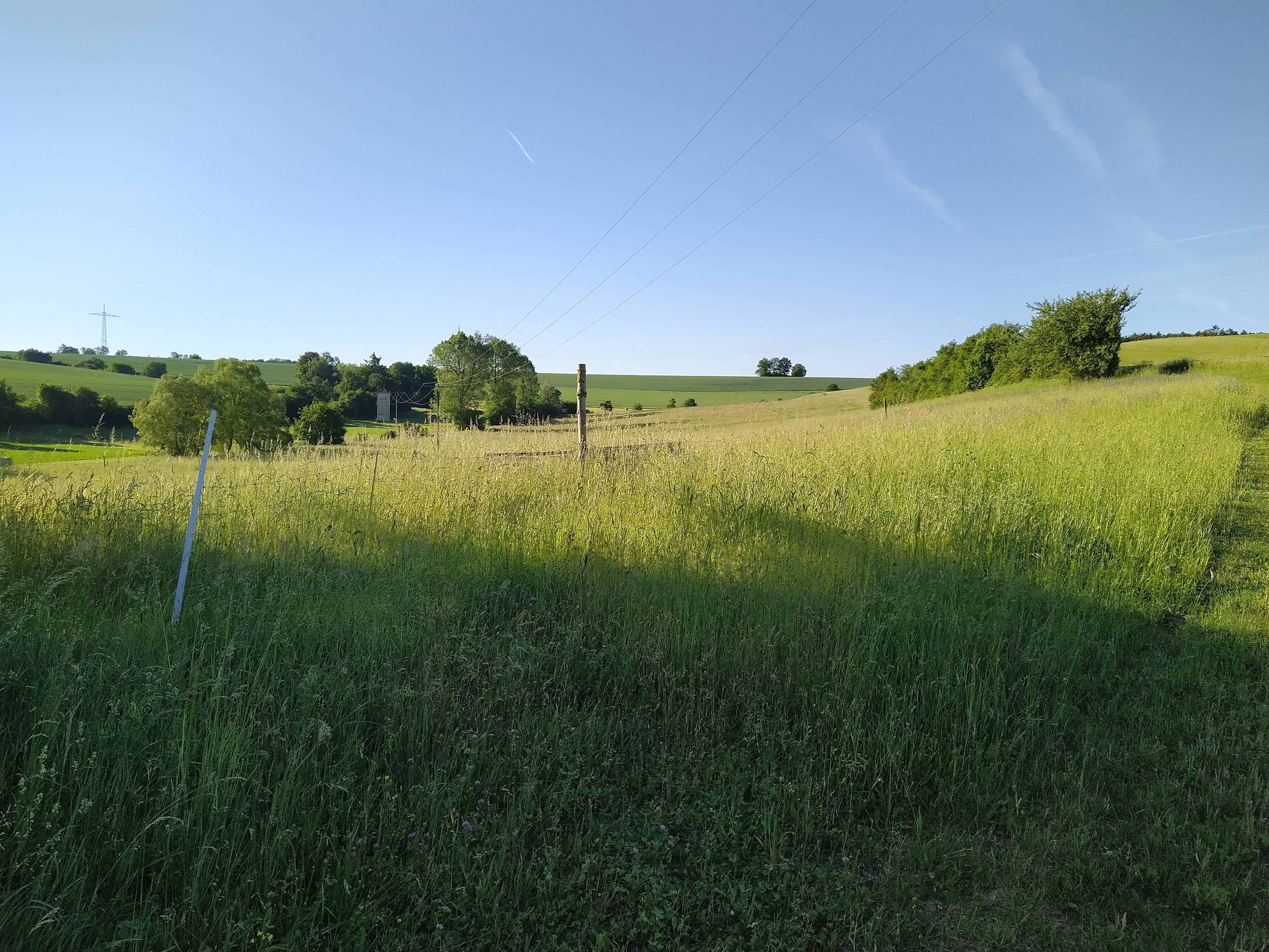 kampeerplaats voor campers - Neunkirchen (Neckar-Odenwald-Kreis) - Ranch Urlaub 