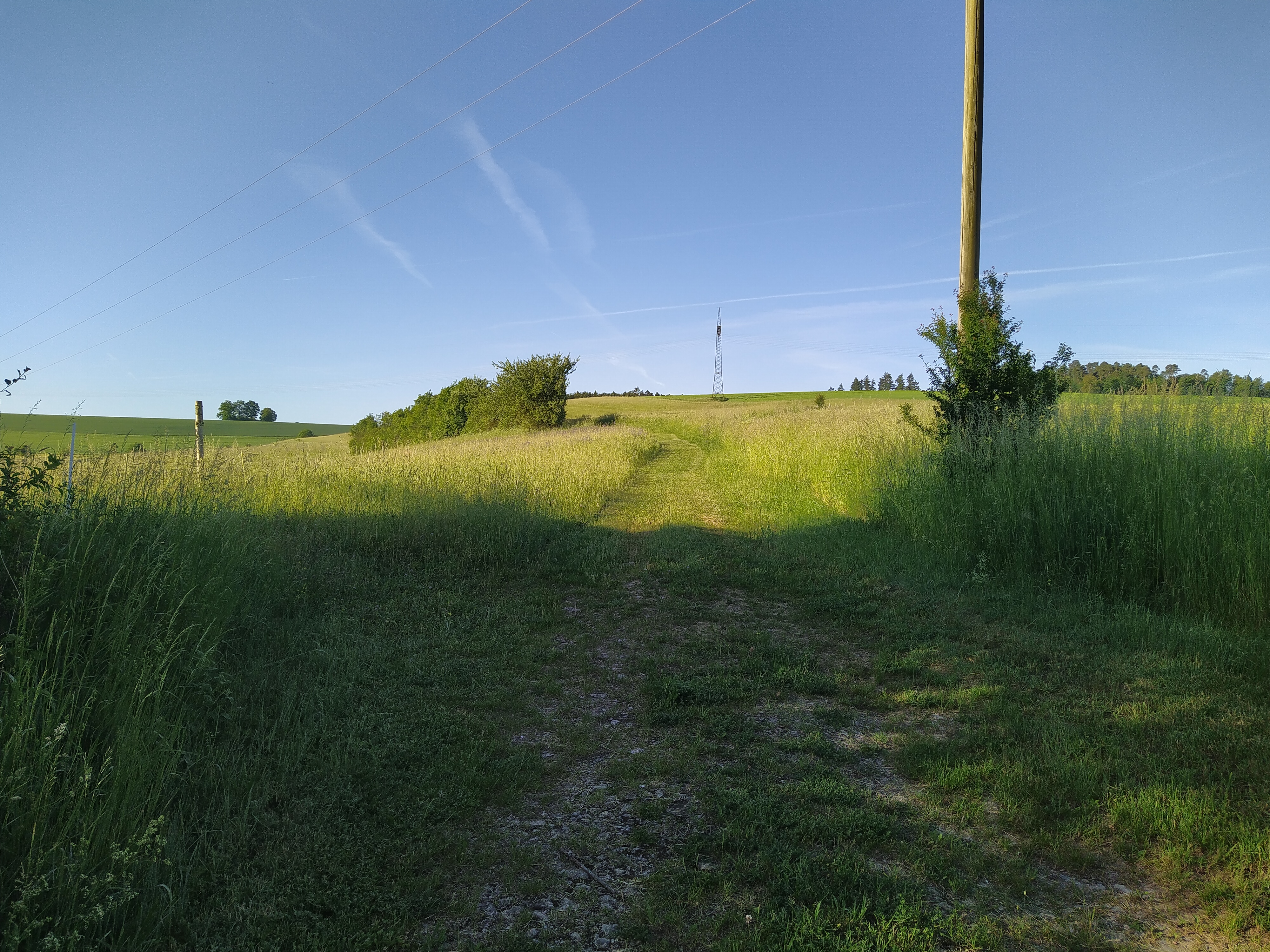 kampeerplaats voor campers - Neunkirchen (Neckar-Odenwald-Kreis) - Ranch Urlaub 
