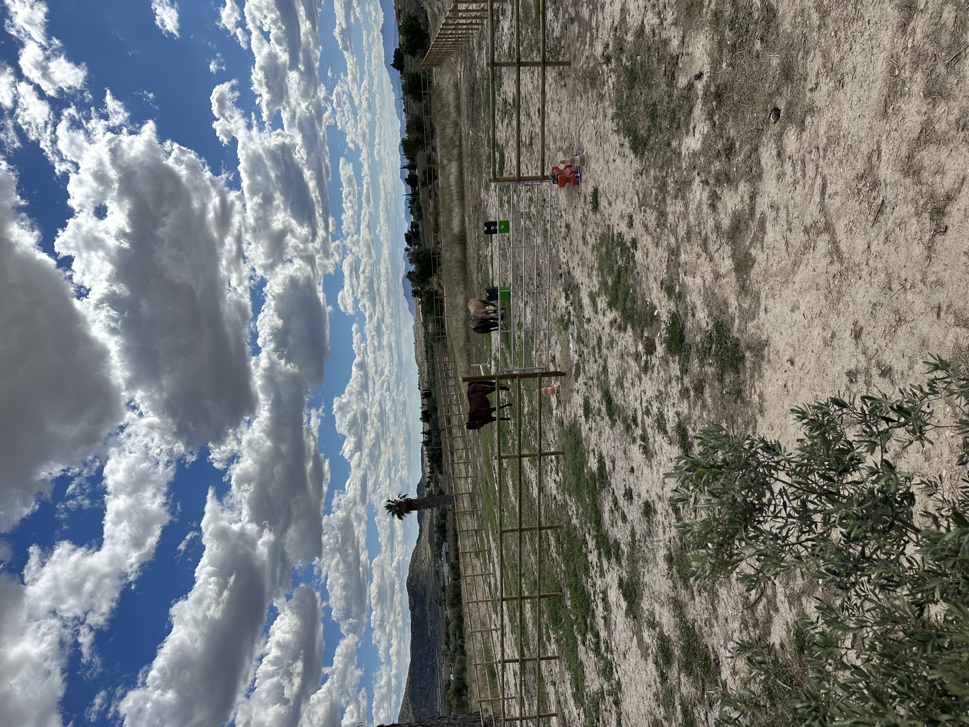 Wohnmobilstellplatz: Grundstück - Rancho Roos - Areal, Freizeit