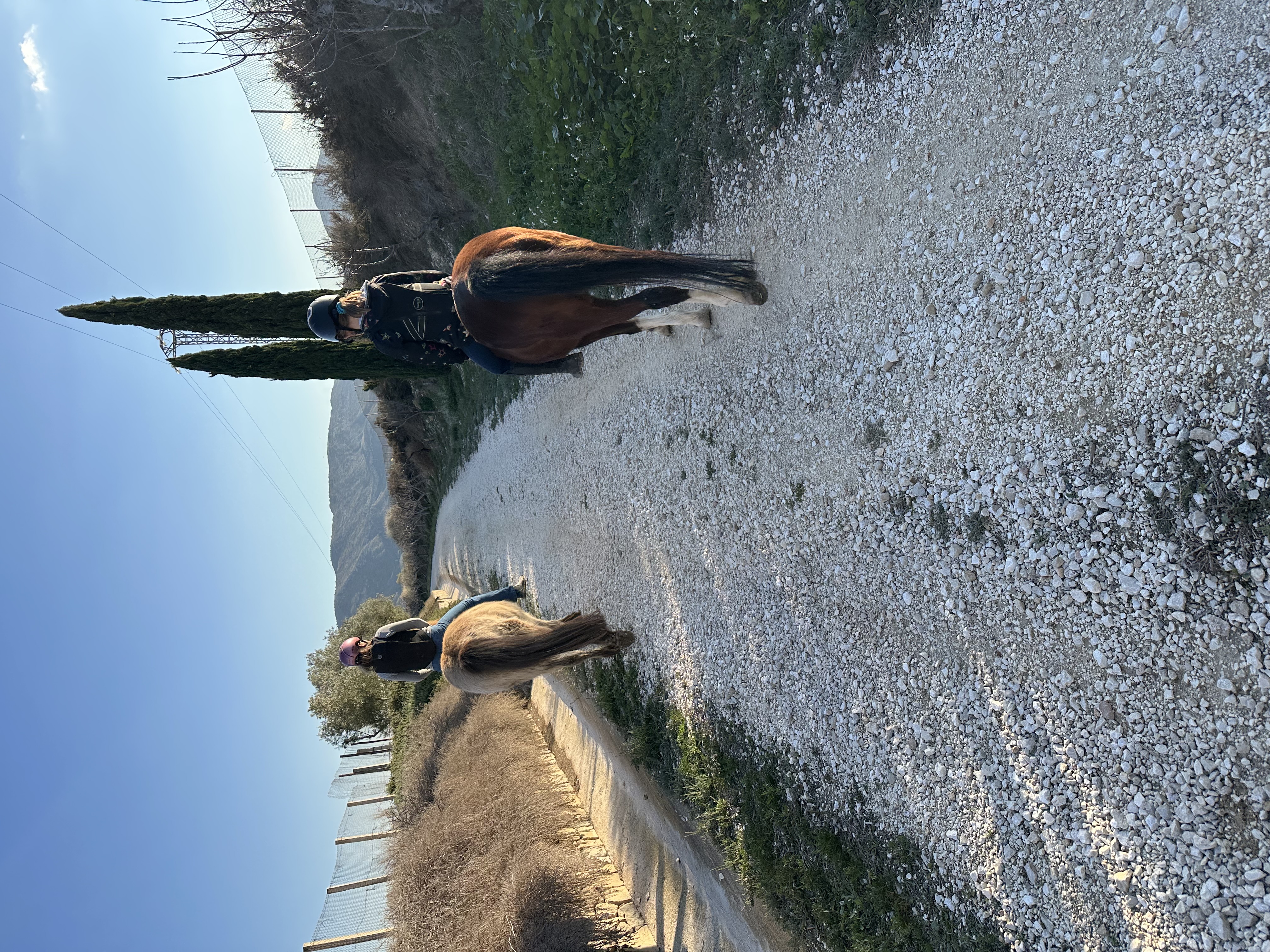 Wohnmobilstellplatz: Fahrradweg, Spazierweg und Reitweg  - Rancho Roos - Freizeit, Umgebung