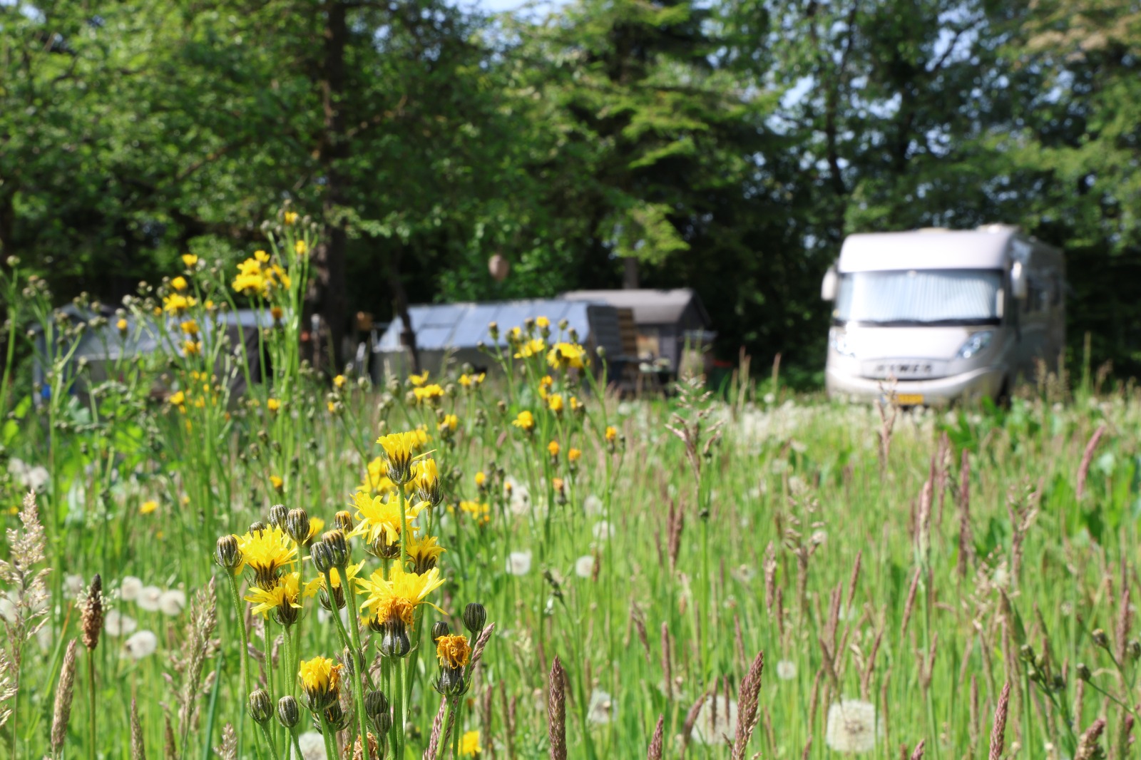 Wohnmobilstellplatz: Gartenparadies Hemdingen 