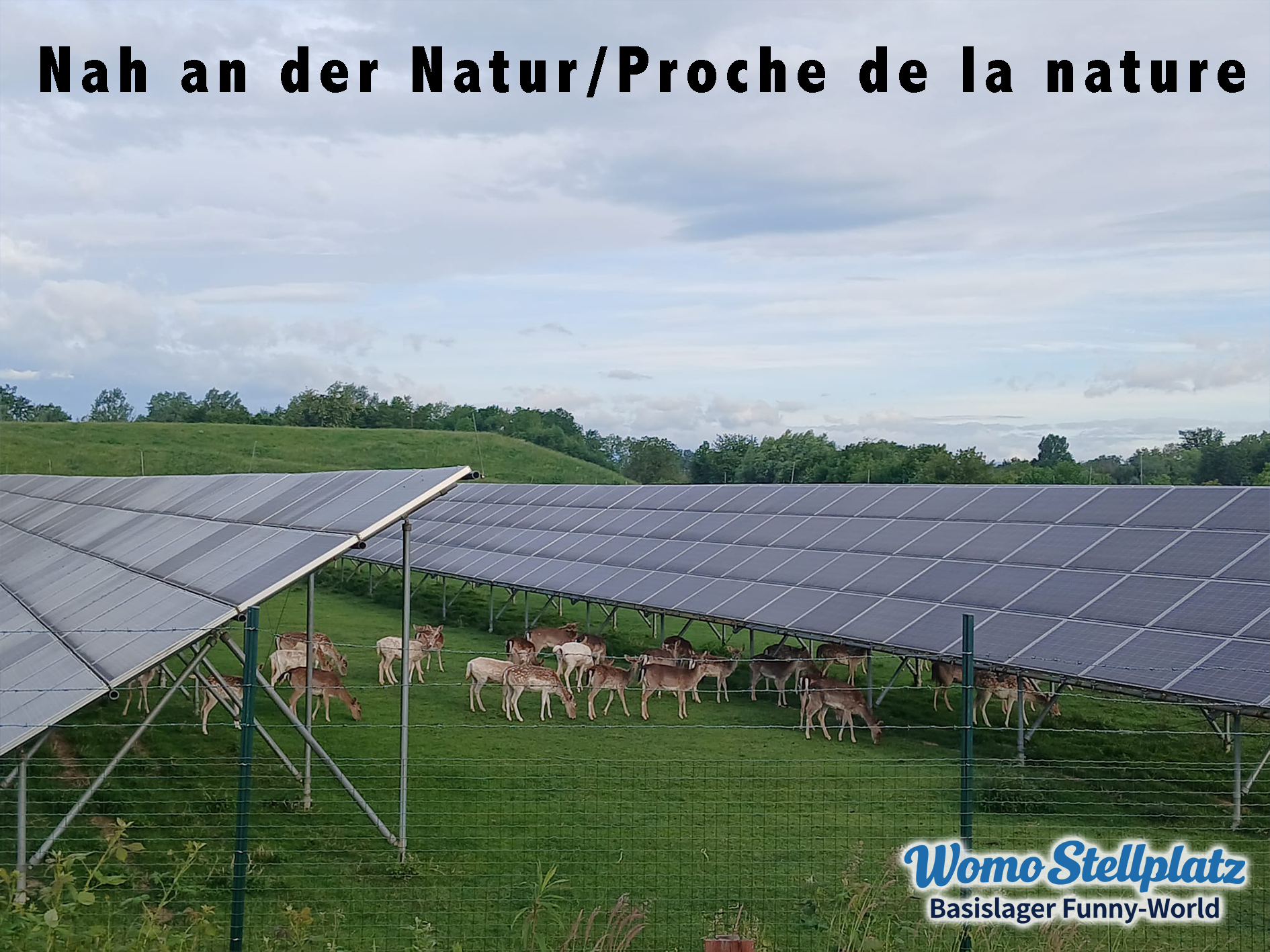 Area sosta per camper - Bergheim (Elsass ) - Womo Stellplatz Basislager Funny-World