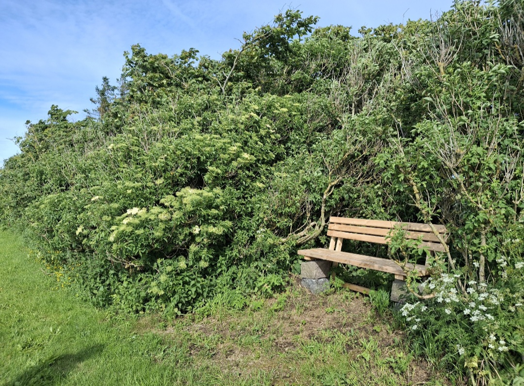 Wohnmobilstellplatz: 'Sonnenuntergangs-genießerbank' - Vesløs mit Blick auf See und Naturschutzgebiet (privat) - Parcelas