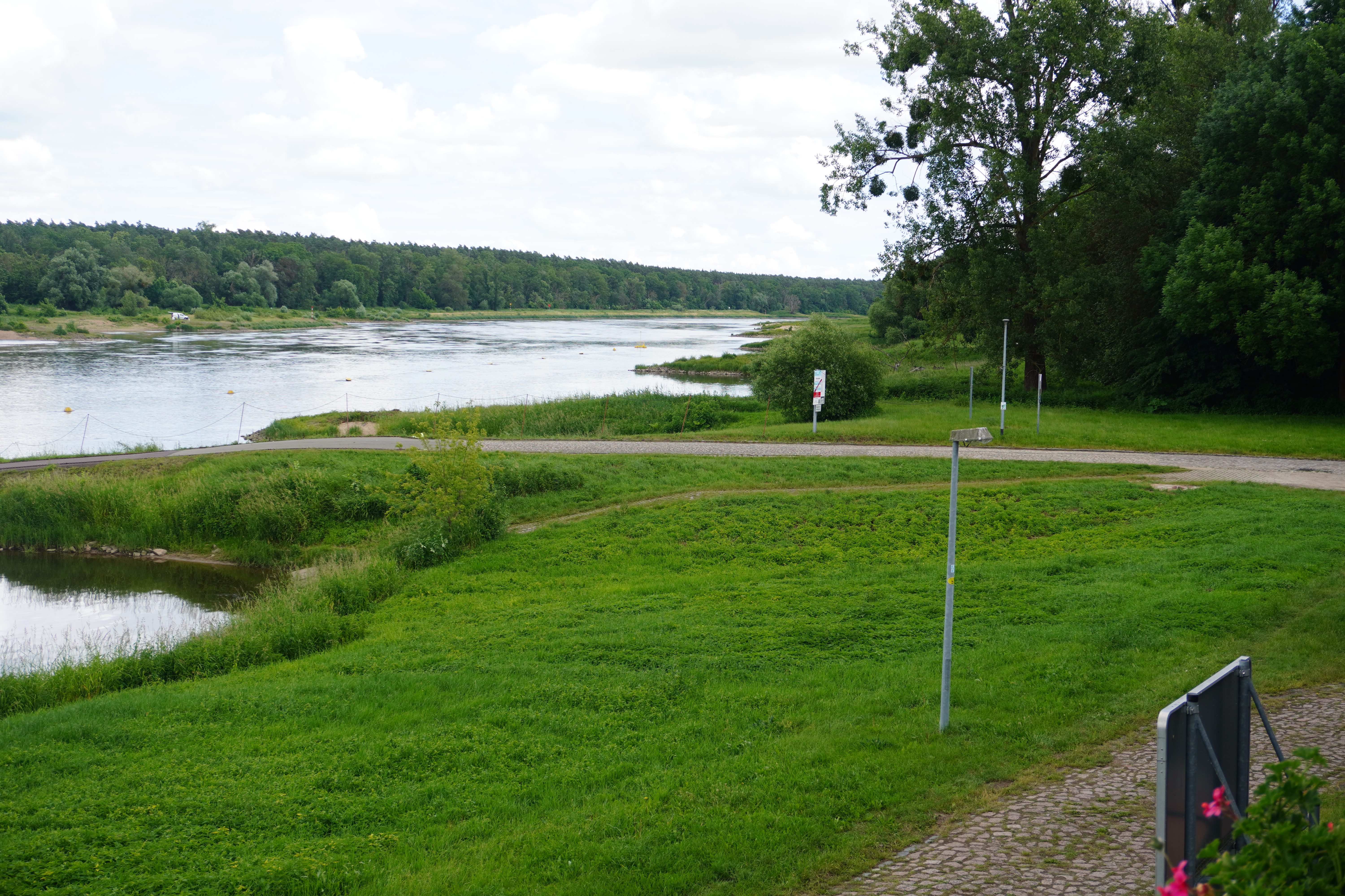 área camper - Sachsen-Anhalt Süd - Stellplatz Wiese 2 – direkt am Schiff - Marie Gerda Elbestellplatz