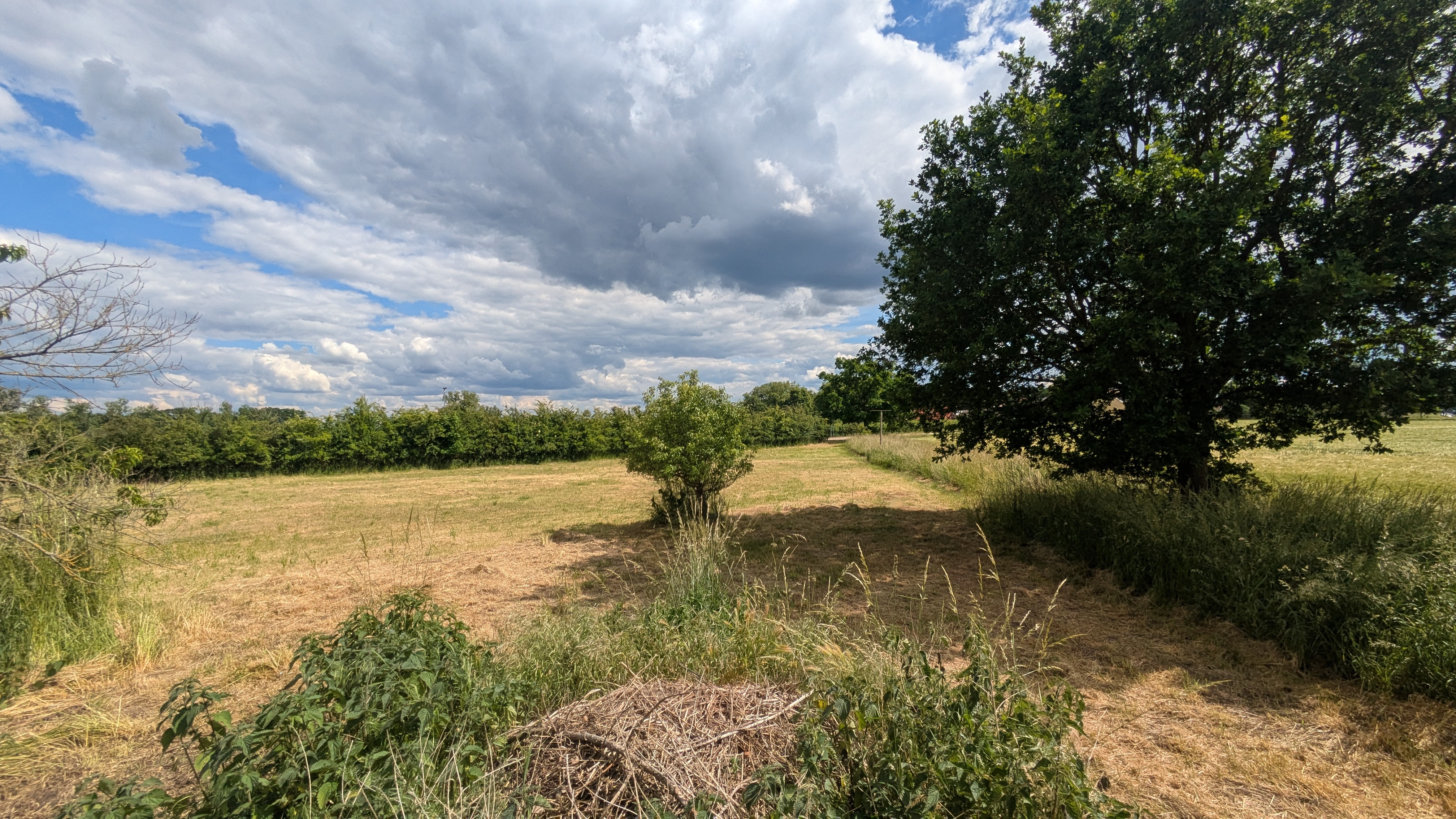 kampeerplaats voor campers - Wustermark - Wiese an der Alten Mühle