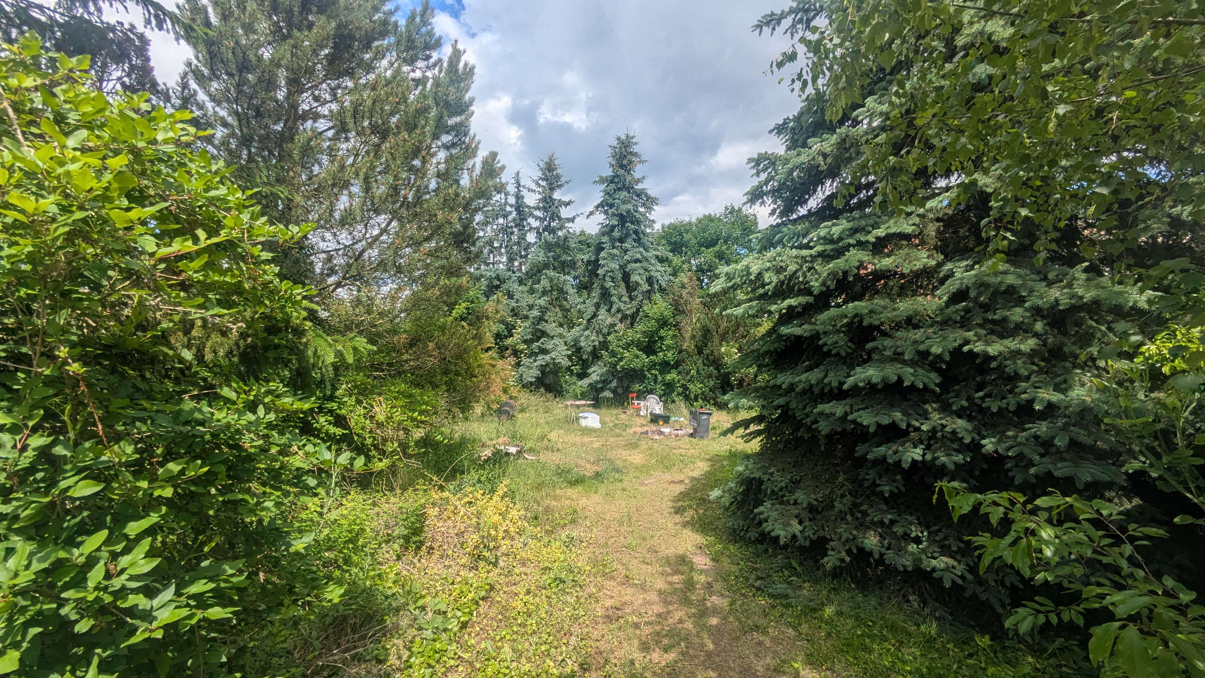 kampeerplaats voor campers - Neuruppin - Wiese an der Alten Mühle