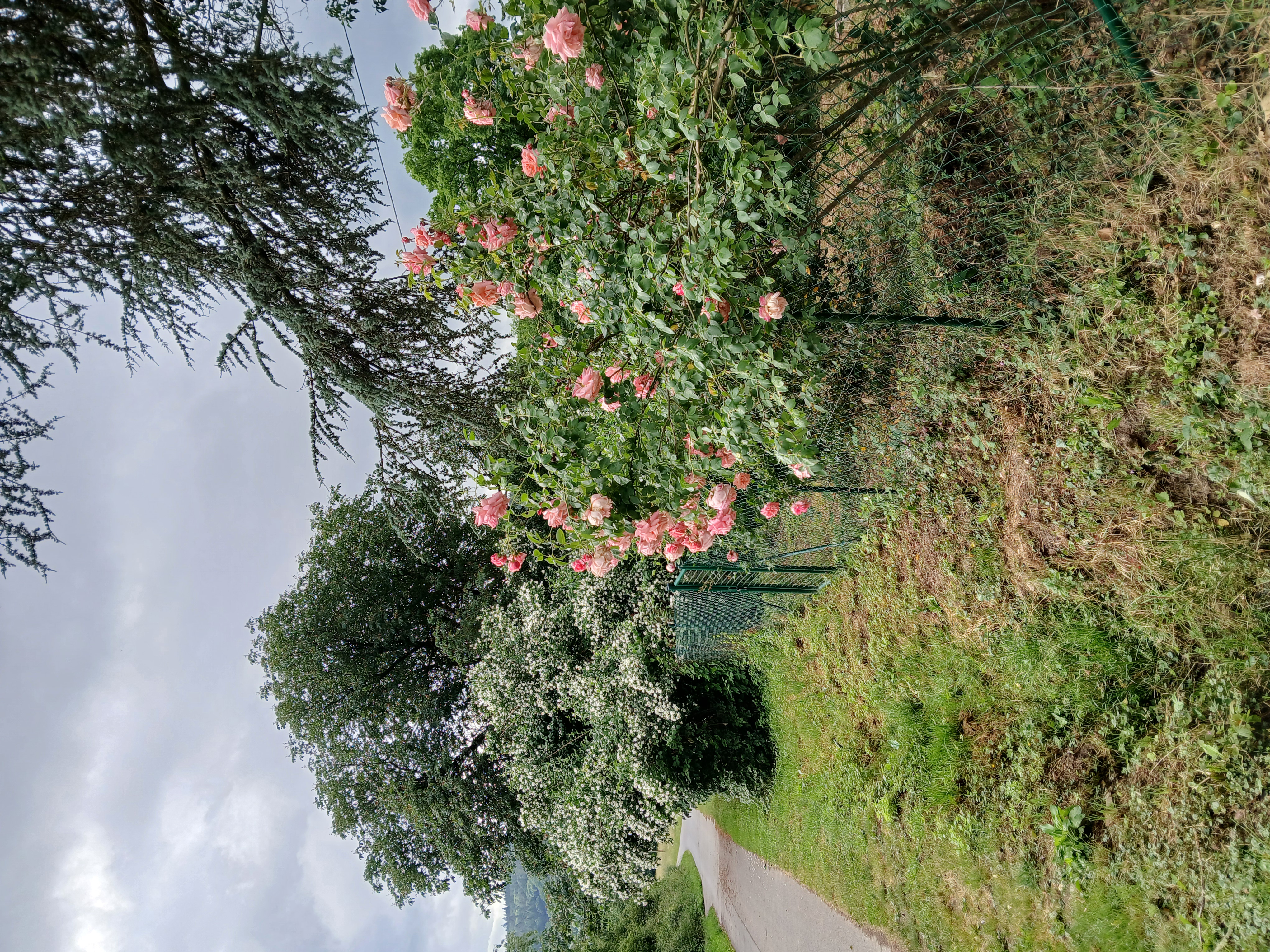 Wohnmobilstellplatz: Weingut Arne Kirsch, Obstgut Heim