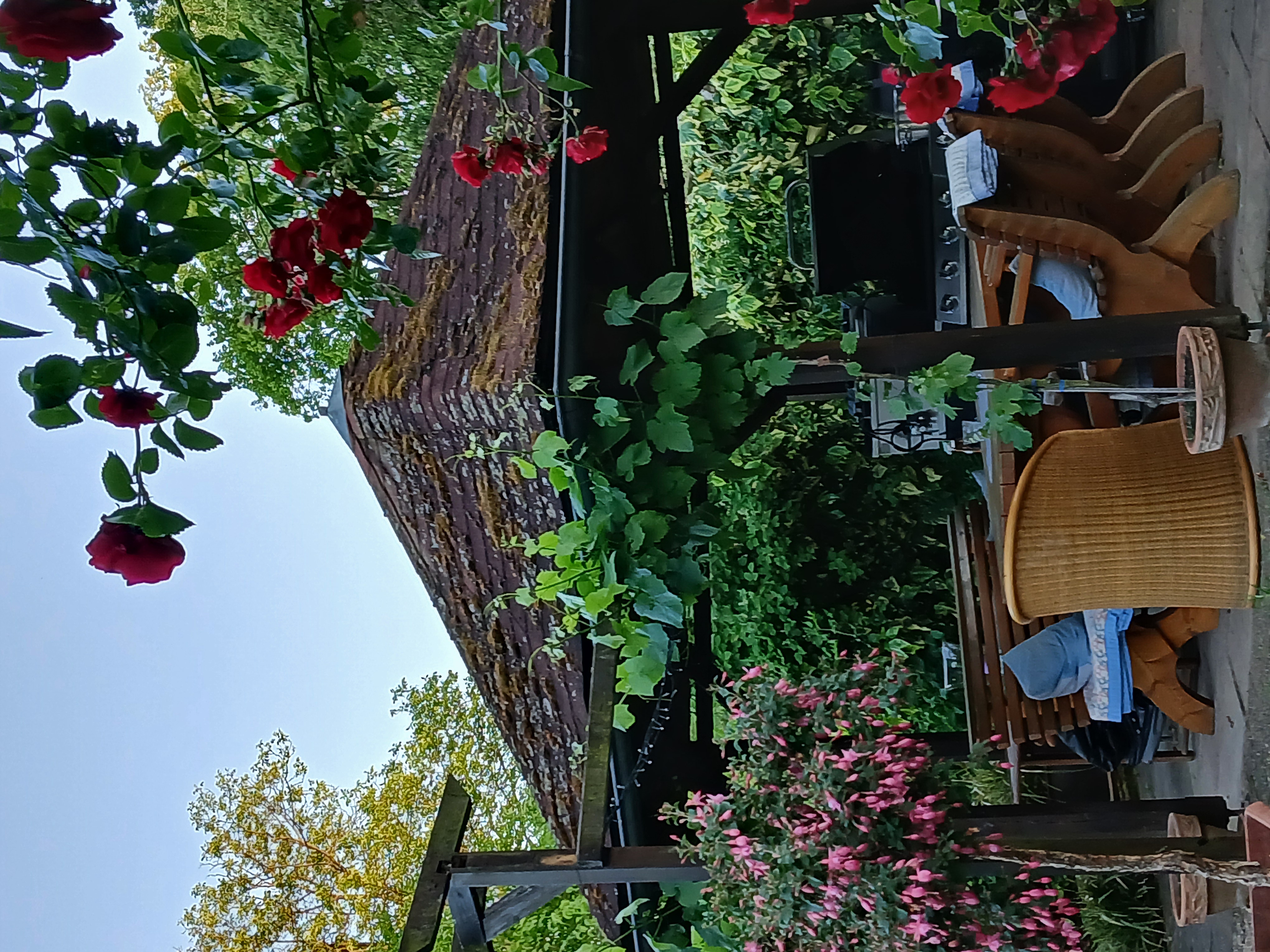 área camper - Wöllstein - Weingut Arne Kirsch, Obstgut Heim