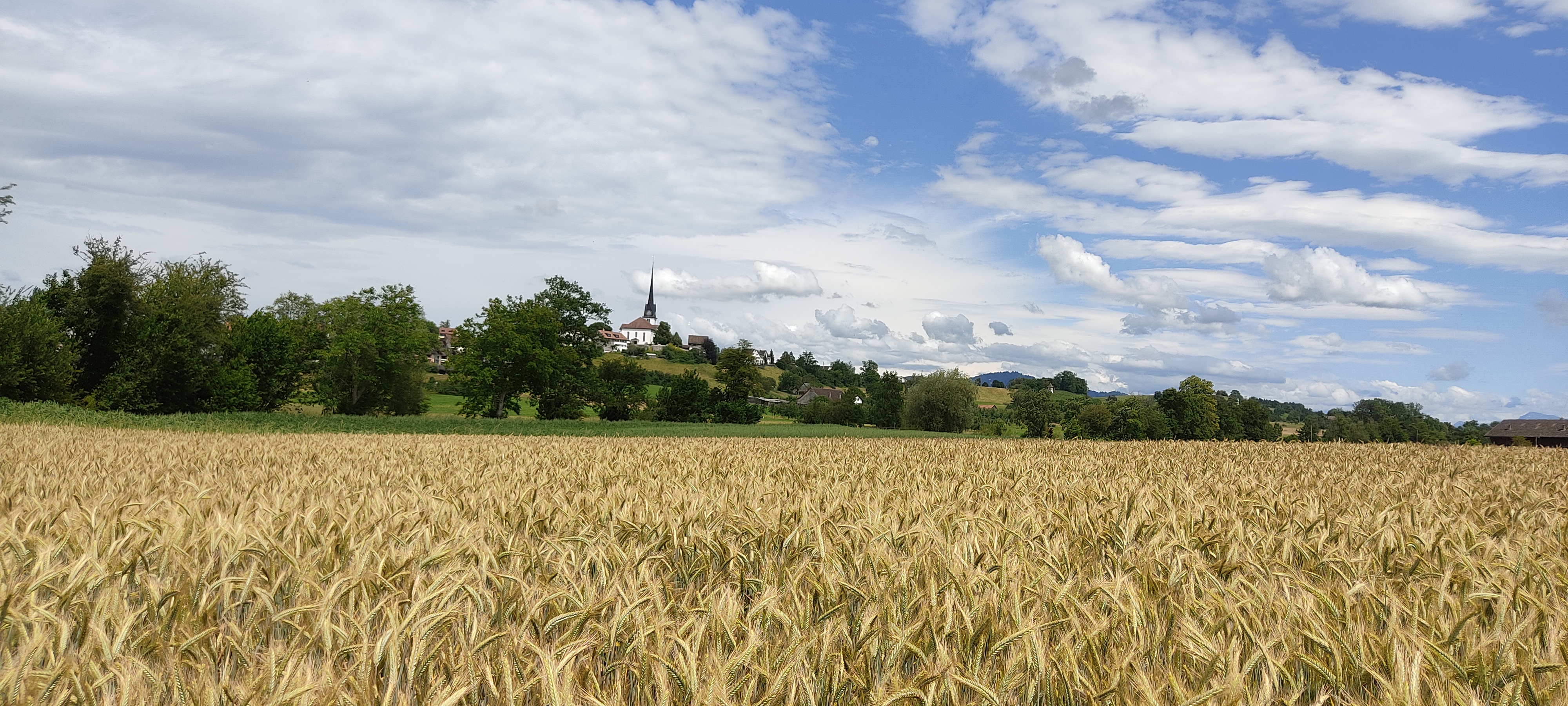 Reisemobilstellplatz - Zürich - Biohof Niggenberg 