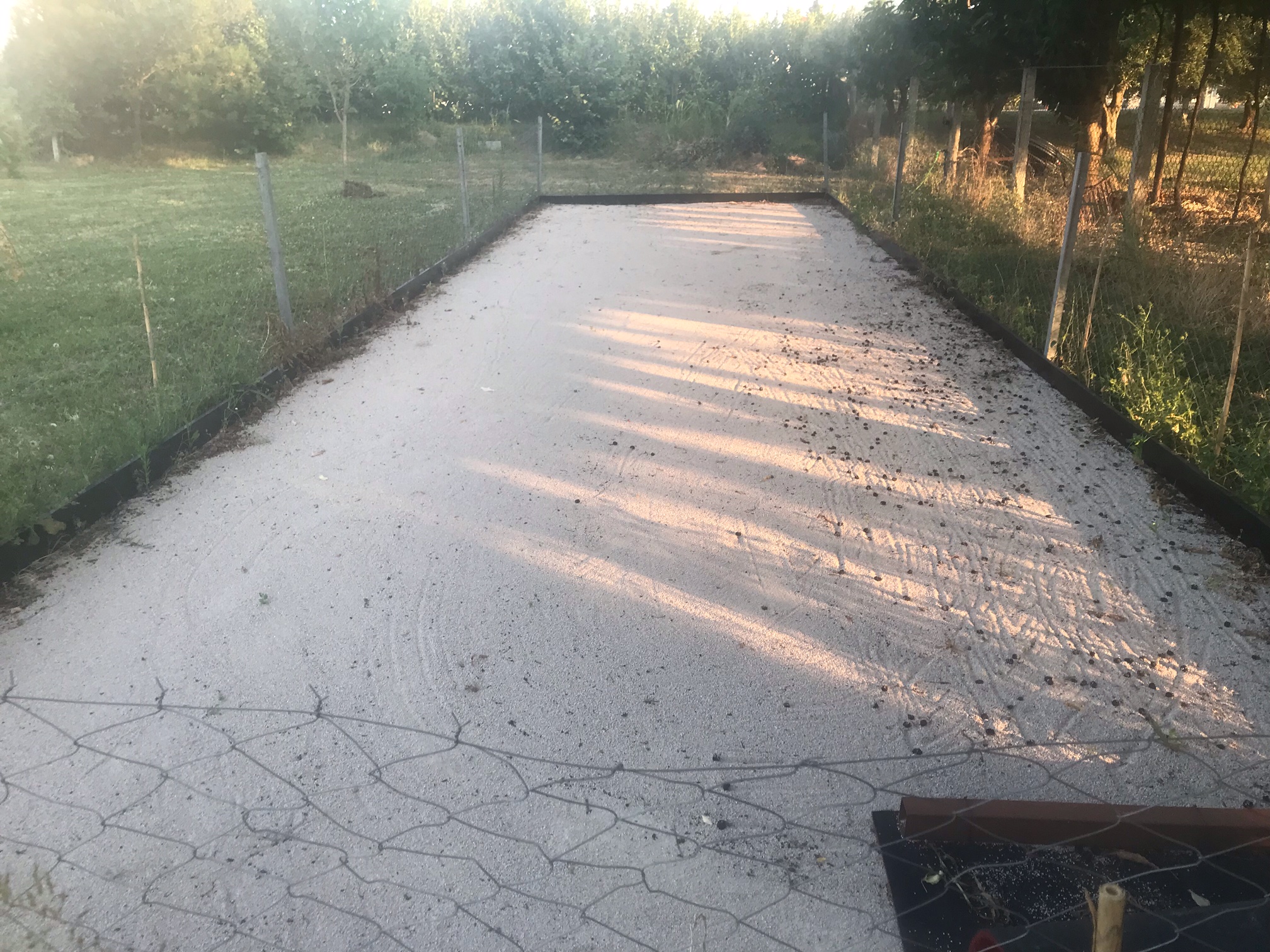 Wohnmobilstellplatz: Agri Camping Italiano Eucalyptus