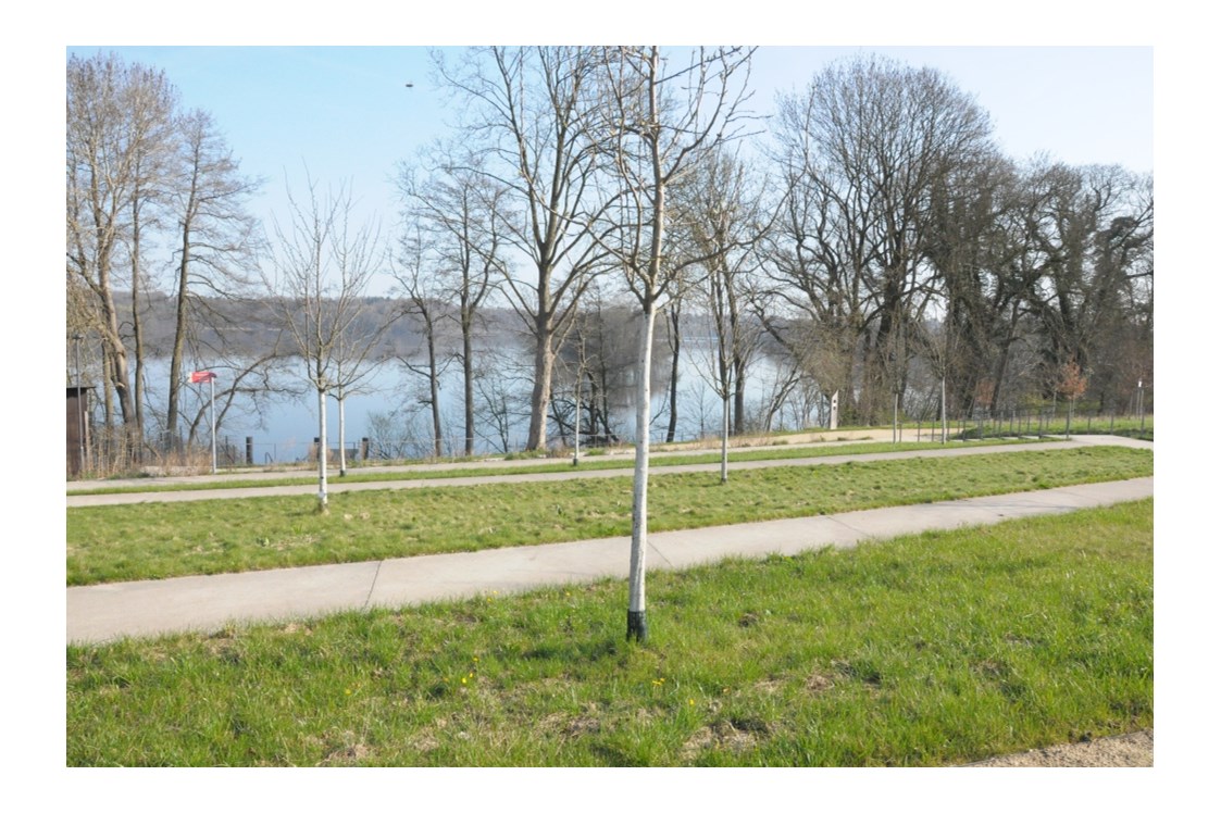 Wohnmobilstellplatz: Blick vom Reisemobilpark auf den Großen Eutiner See - Reisemobilpark Eutiner See