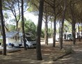 Wohnmobilstellplatz: Stellpätze mit Blick aufs Meer - Camping Lungomare