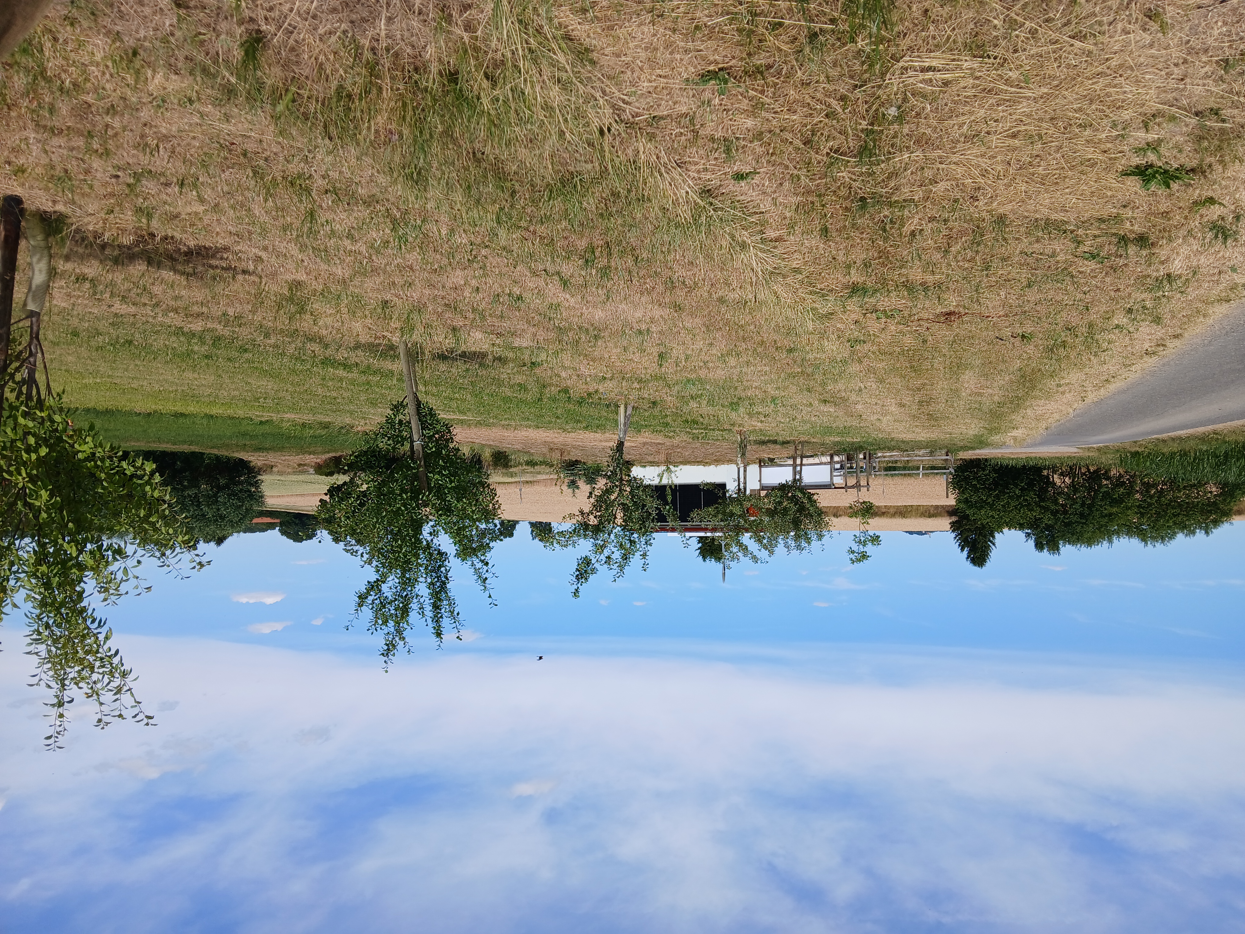 Wohnmobilstellplatz: Camping direkt neben unserem Automatenhaus auf der grünen Wiese.  Kartoffeln, Nudeln, Obst, Eier, Marmeladen, Mehl, Getränke und frisches Wasser und Strom befinden sich auf dem Platz. - Camping Diesch 