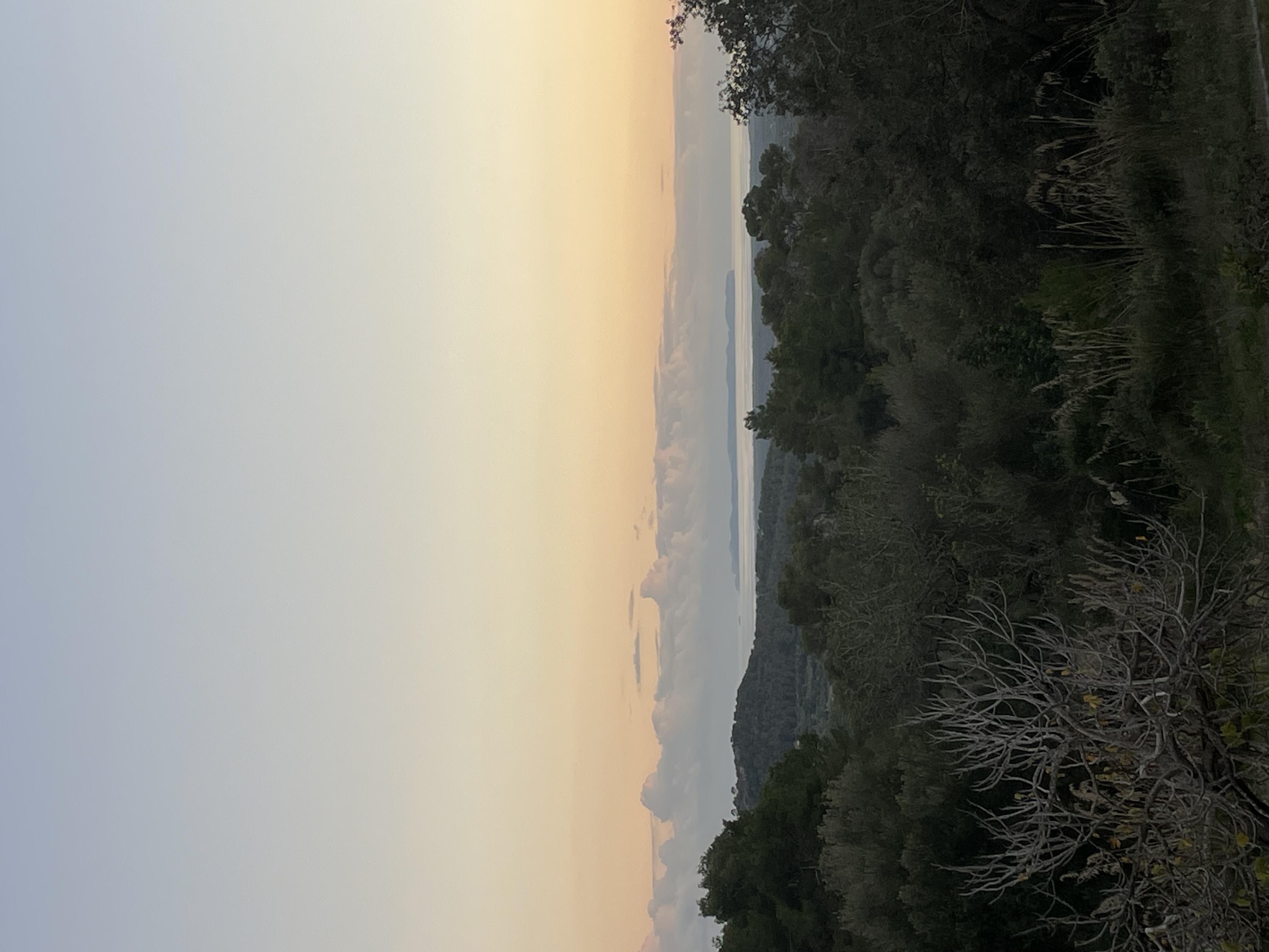 Wohnmobilstellplatz: Natur 🌳 Stellplatz Mallorca