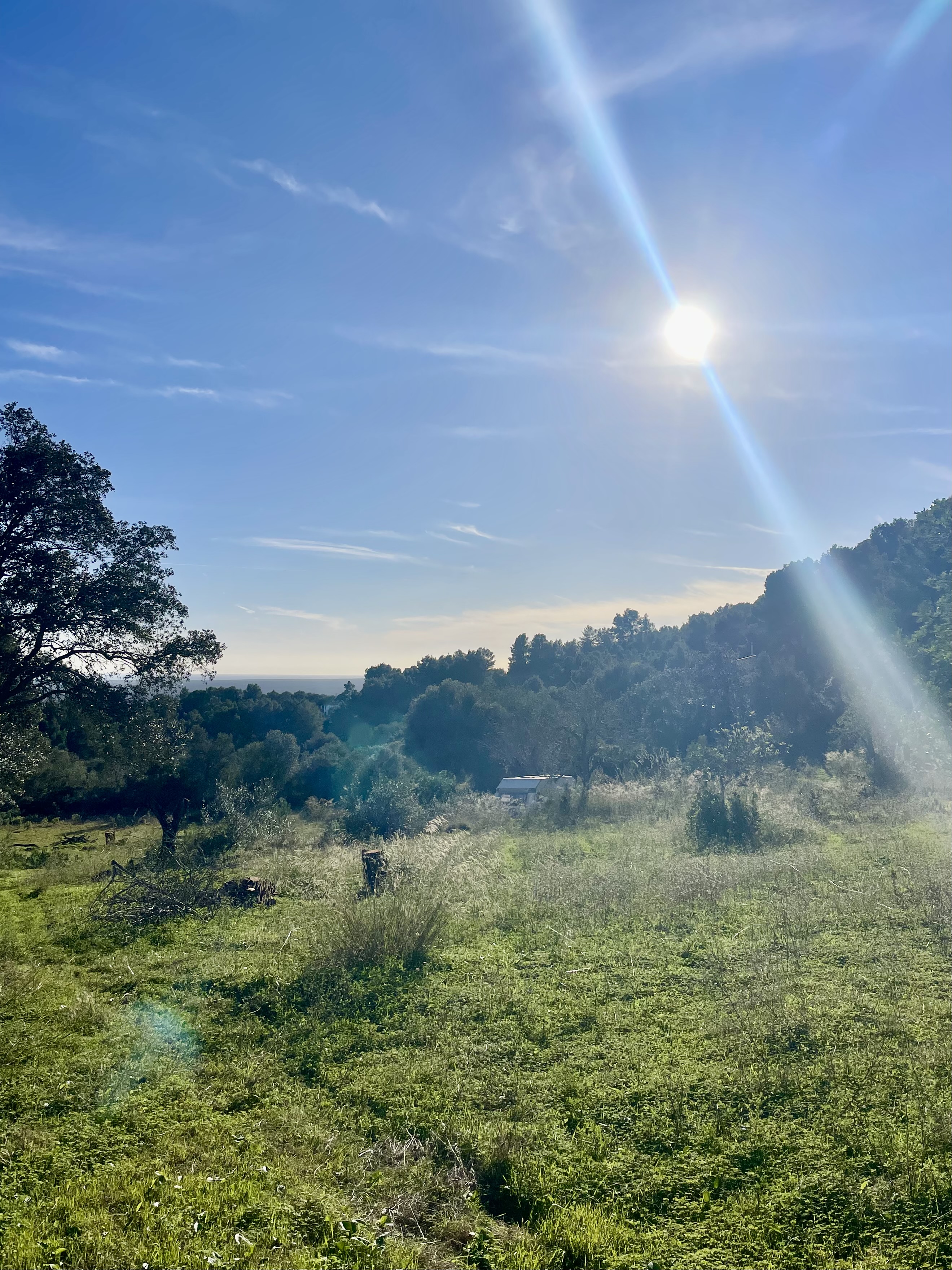 Wohnmobilstellplatz: Natur 🌳 Stellplatz Mallorca