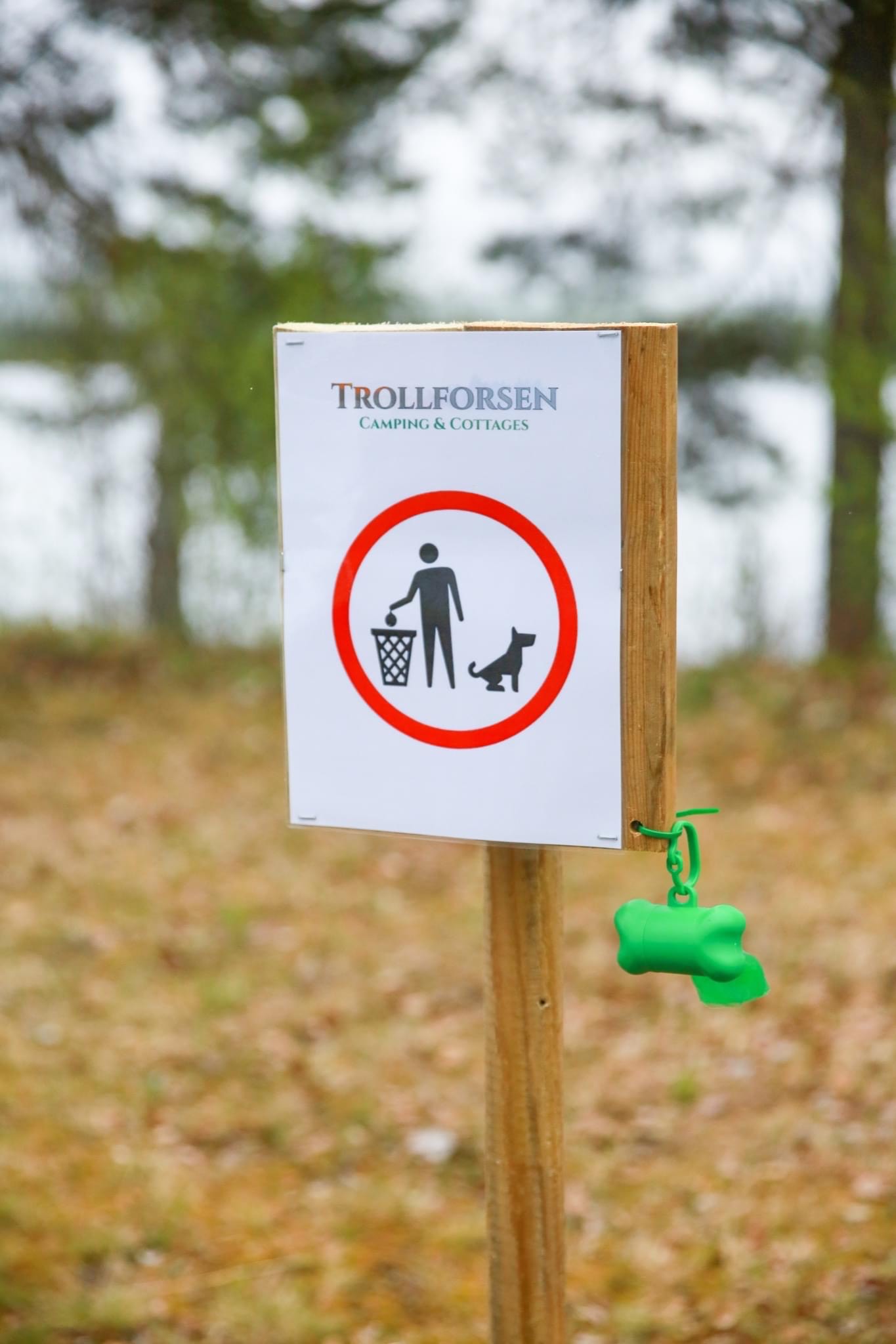 Wohnmobilstellplatz: Vierbeiner sind herzlich Willkommen - Trollforsen Camping & Cottages Services AB