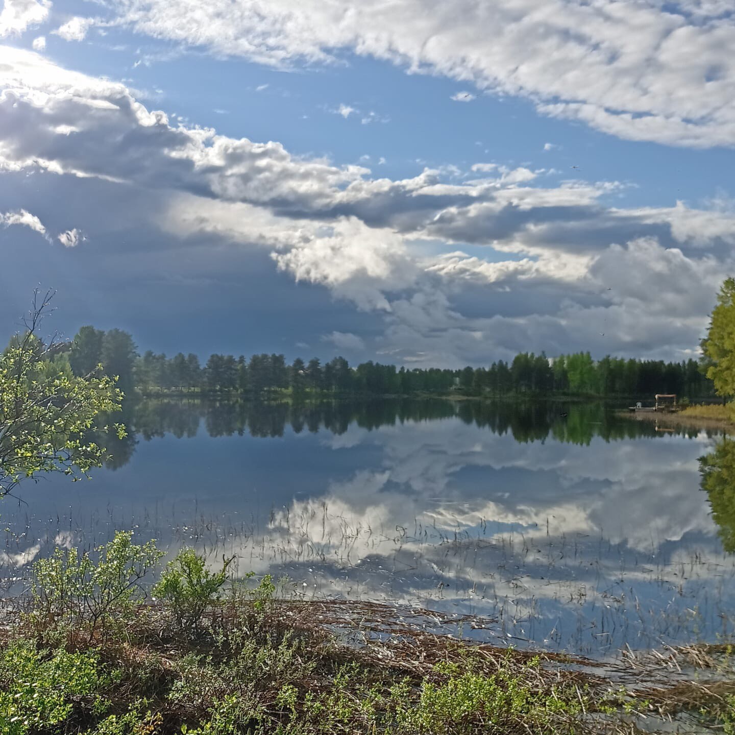 Wohnmobilstellplatz: der Blick von der Schaukel - Trollforsen Camping & Cottages Services AB