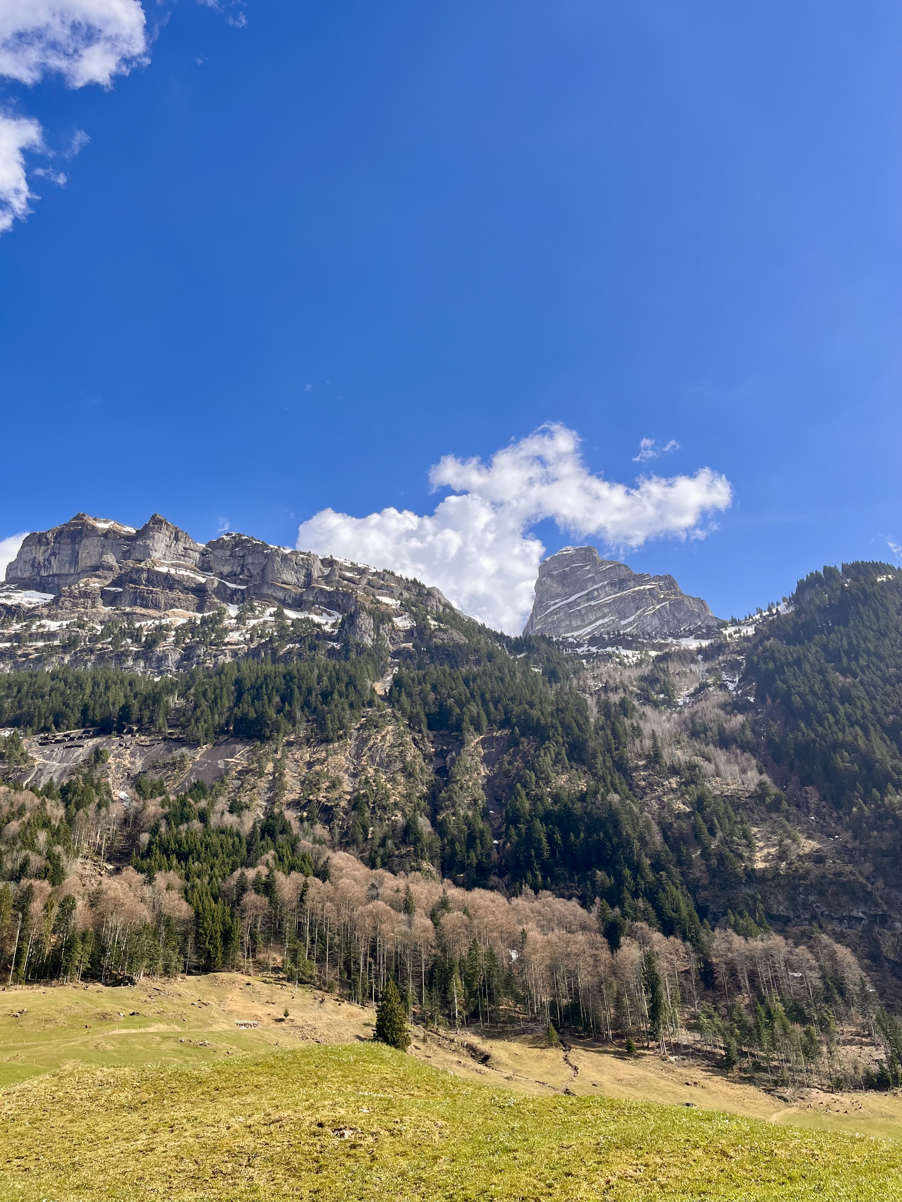 área camper - Attinghausen - Bergsicht - Altzellerberg