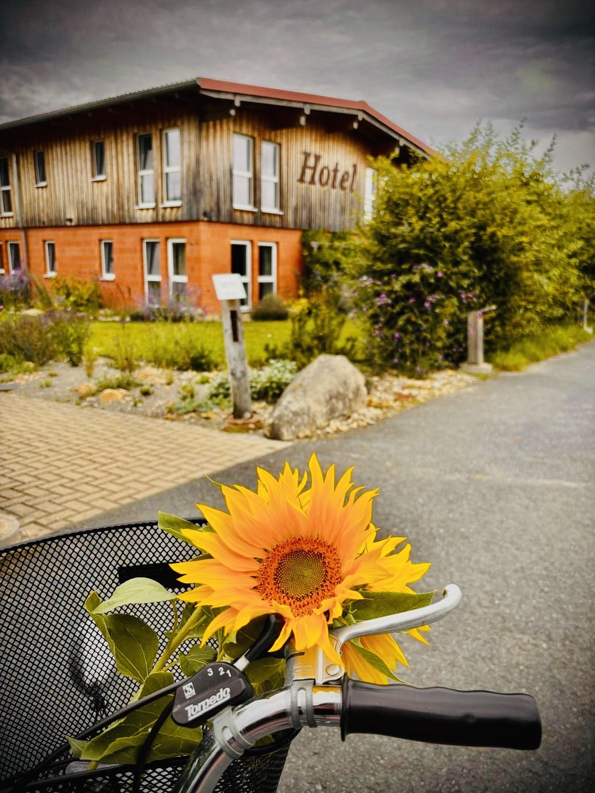 área camper - Vellmar - Rappenhof Breuna