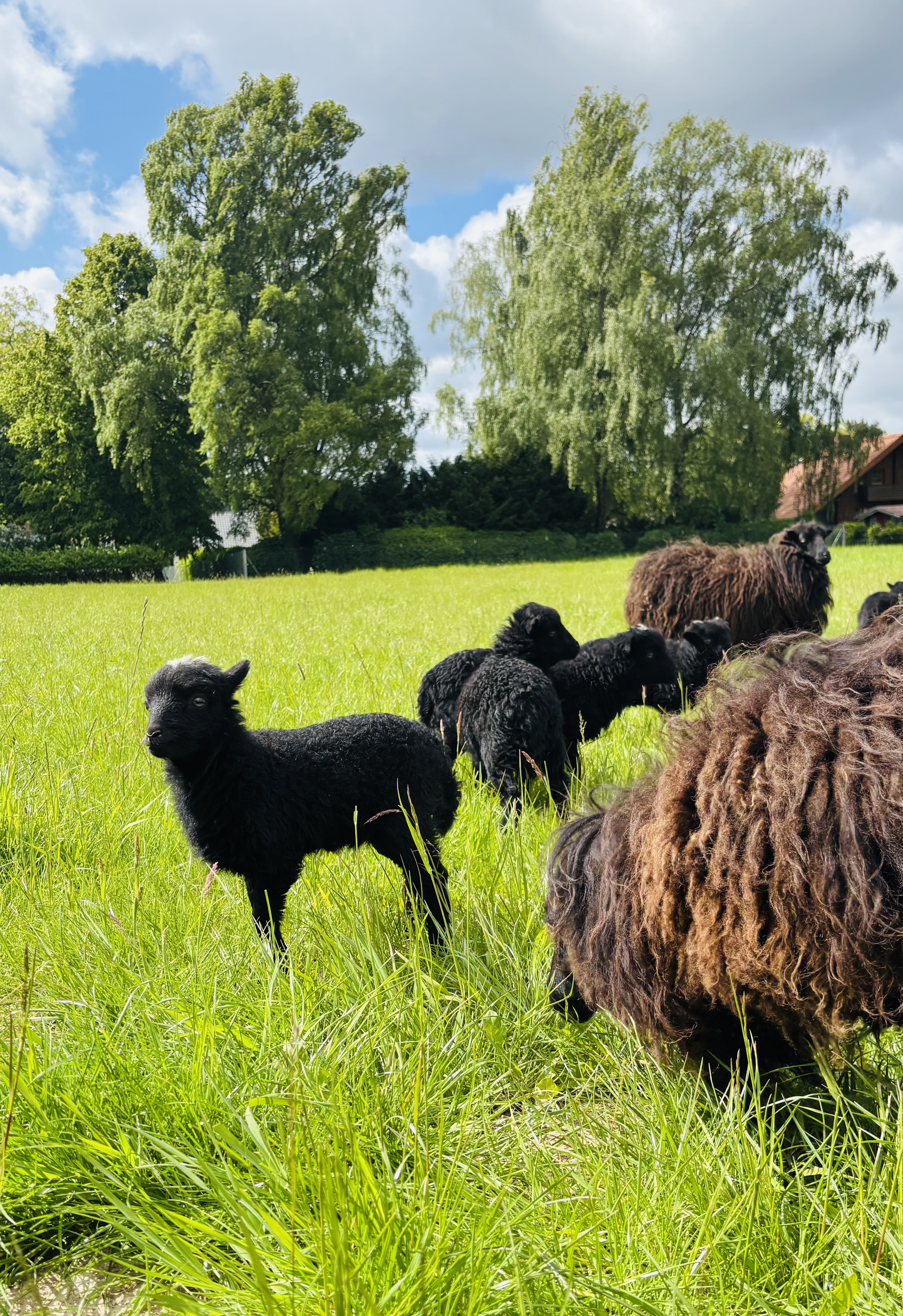 área camper - Vellmar - Rappenhof Breuna