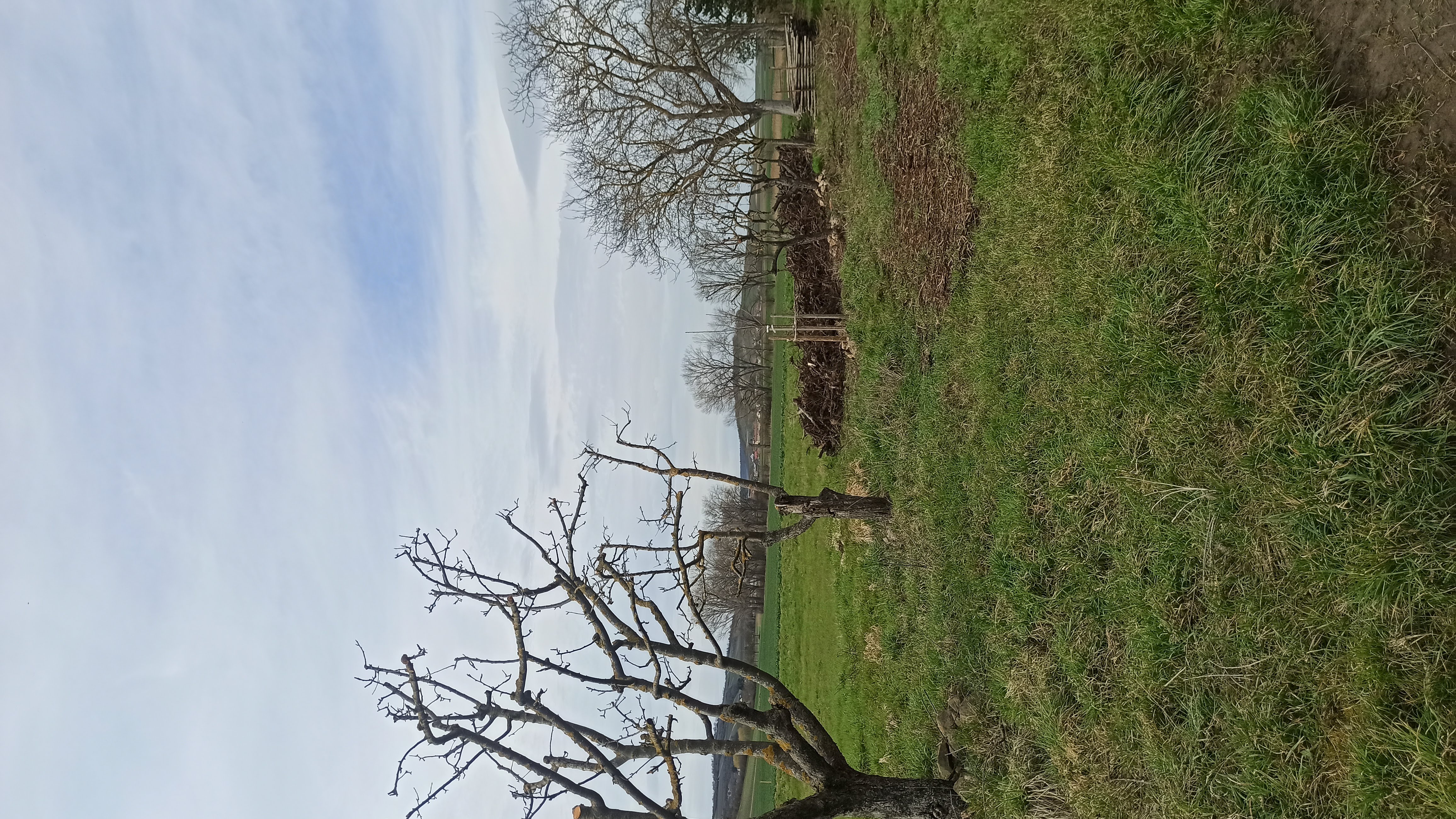 Area sosta per camper - Norheim - Streuobstwiese - Stellplatz auf der Obstwiese