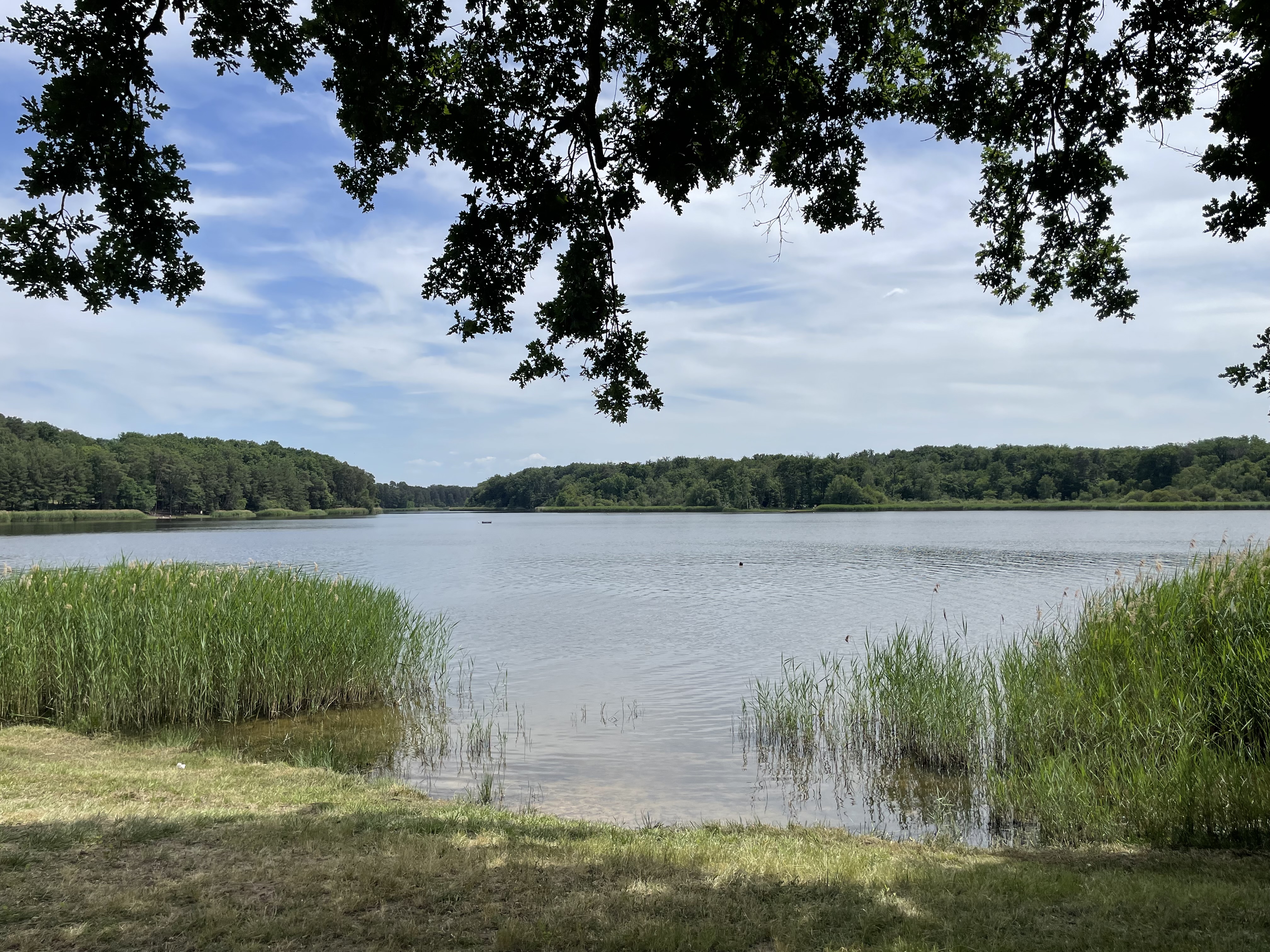 Reisemobilstellplatz: Cœur des Sages