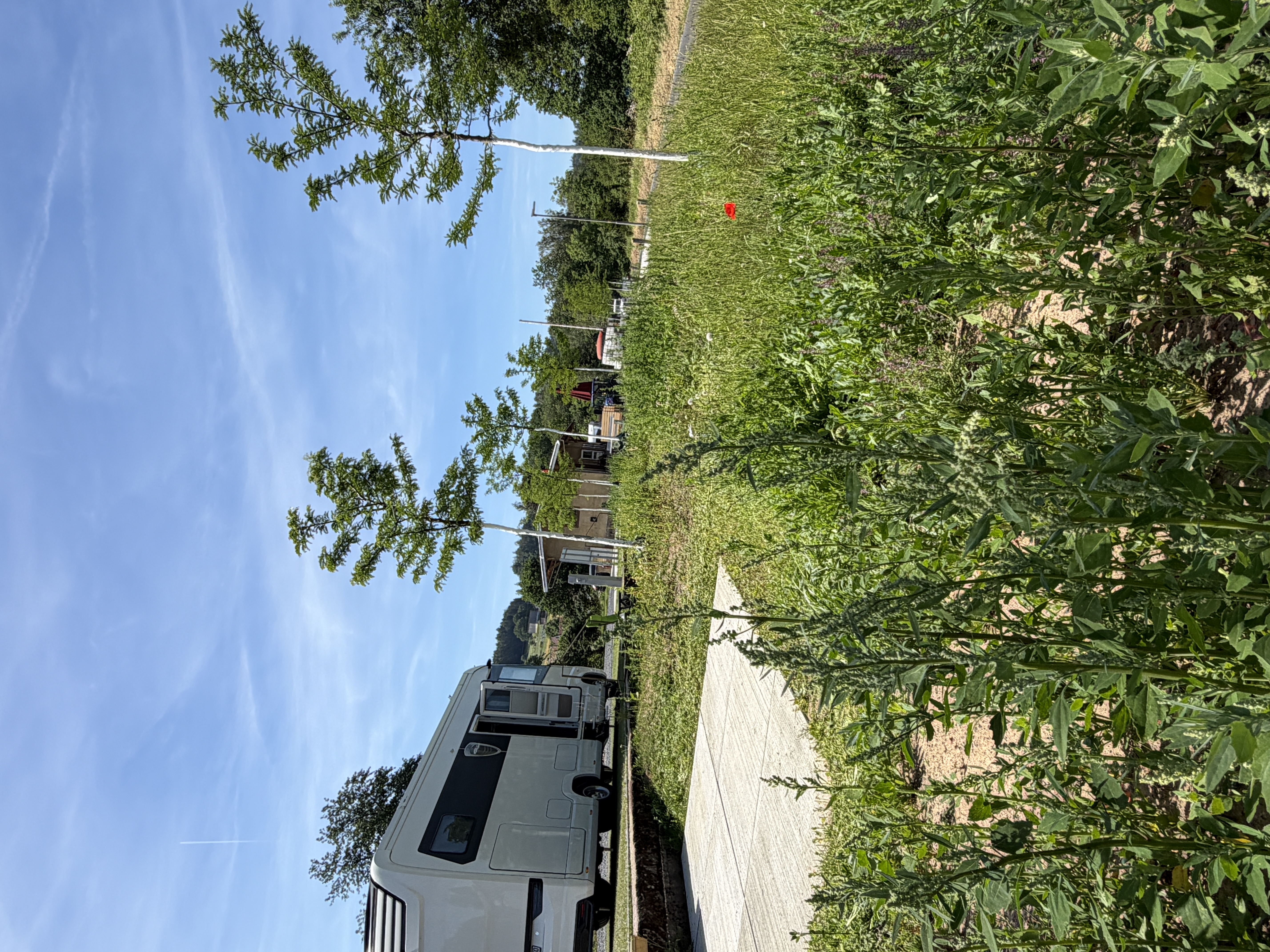 Reisemobilstellplatz: Terrassen der Stellplätze im Grünen - Gleispark Rupboden